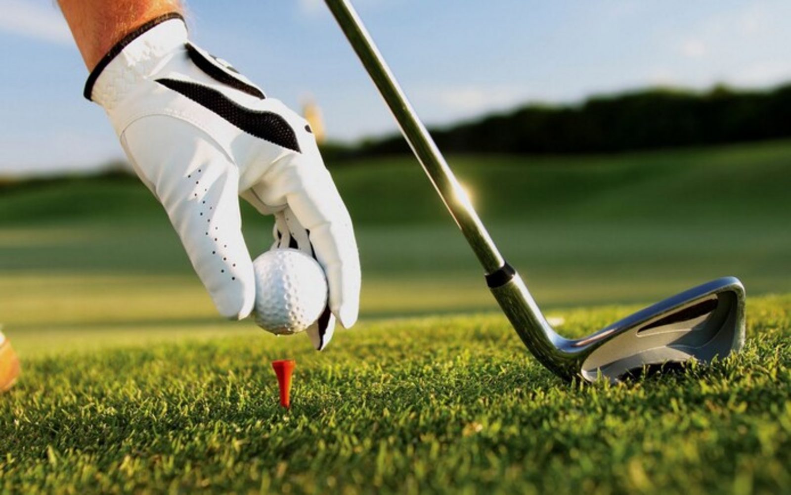1 Daags Golfarrangement 