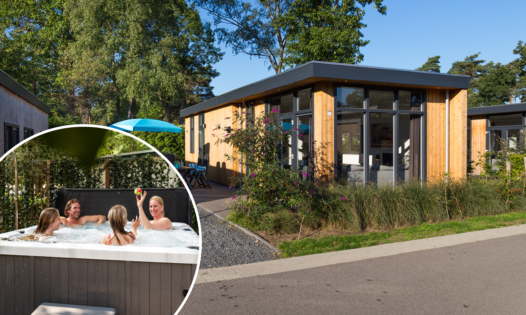 Module 5 people Wellness