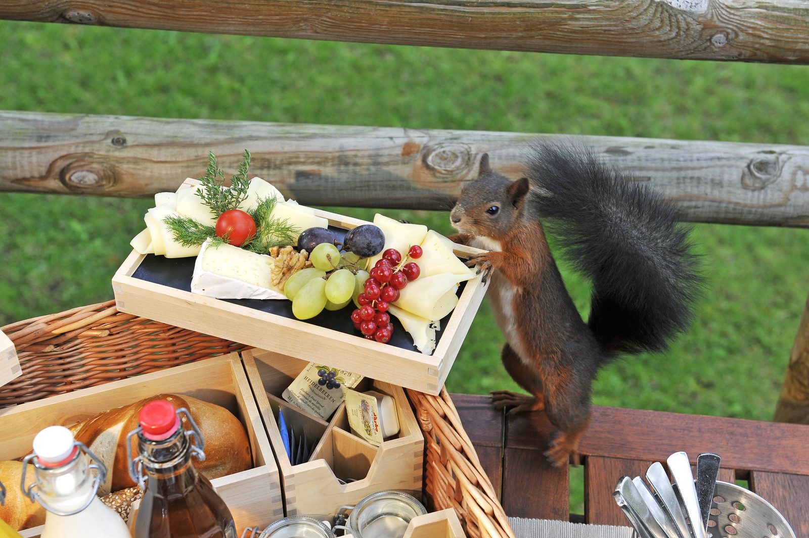 Wood Lodge Birthday Package