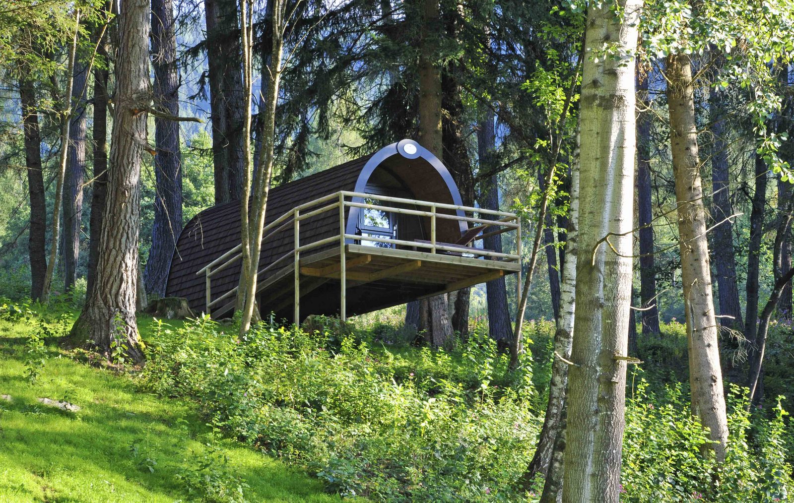 Wood Lodge Birthday Package