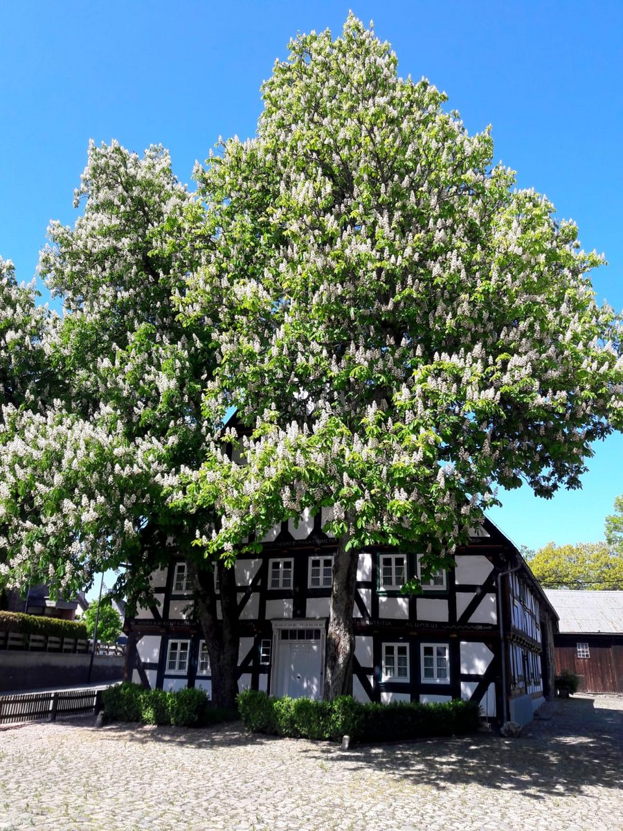 Ferienhaus Hof Ewers