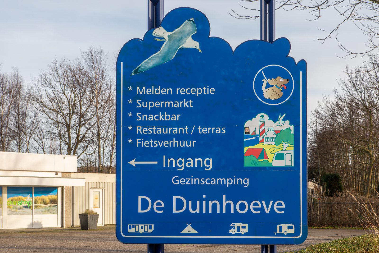 Chalet - De Duinhoeve 'Bosdier' - Maireweg 7 | Burgh-Haamstede