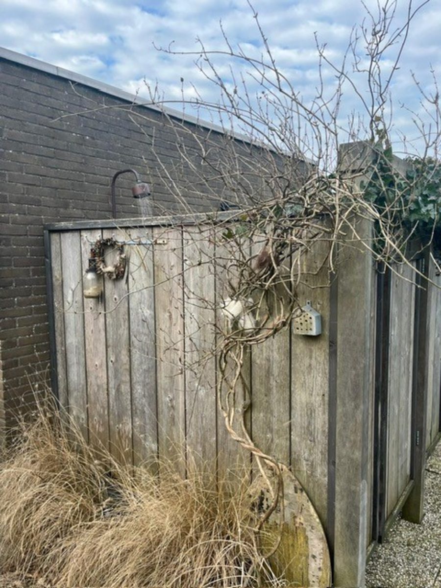 Beach Bungalow Sint aan Zee
