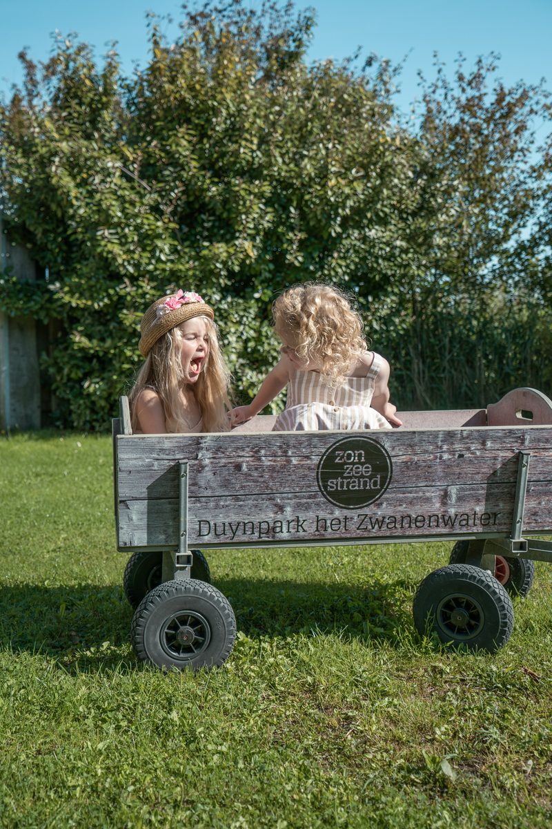 Kidz Lodge