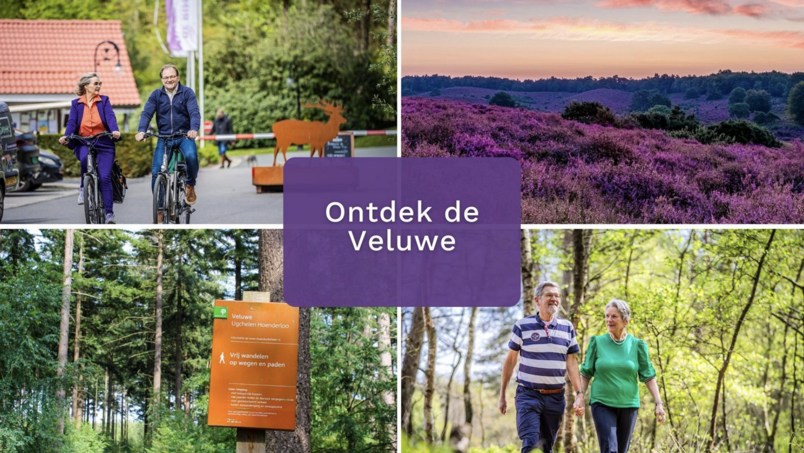 Vakantiewoning Heidehoeve comfort | 5 persoons 