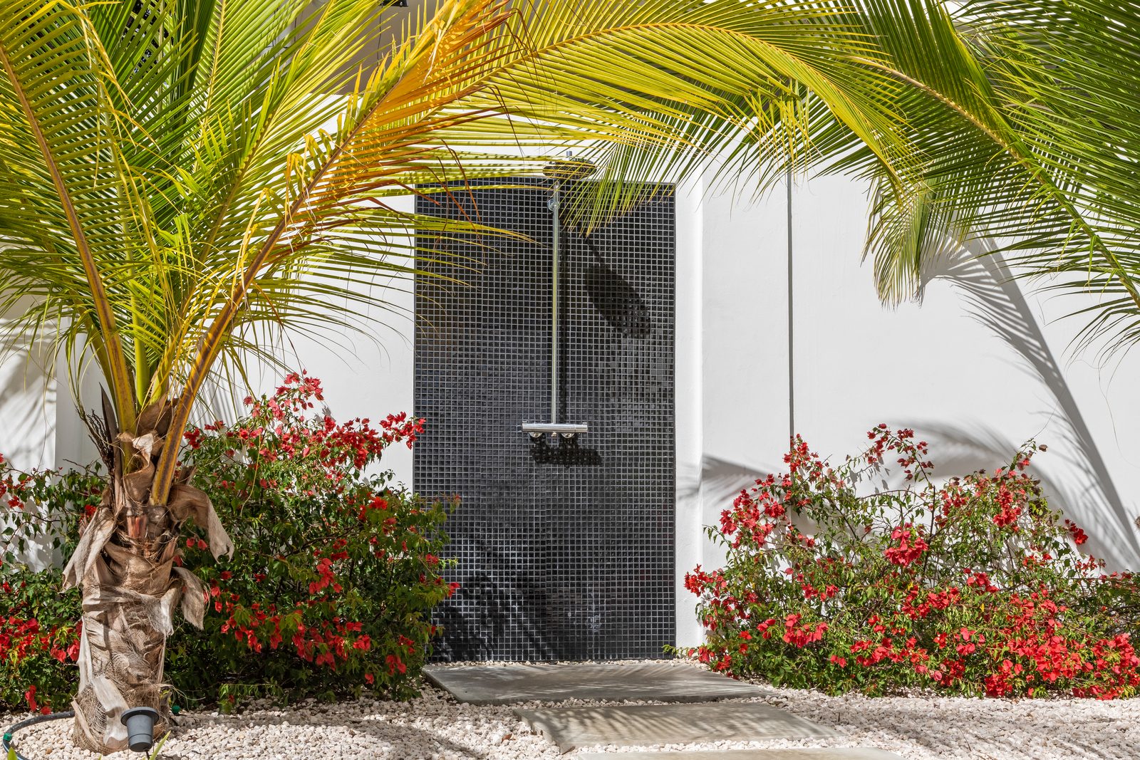 Caribbean Bliss