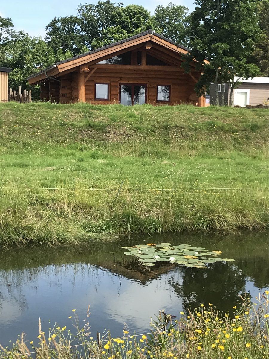 Bos Lodge 6