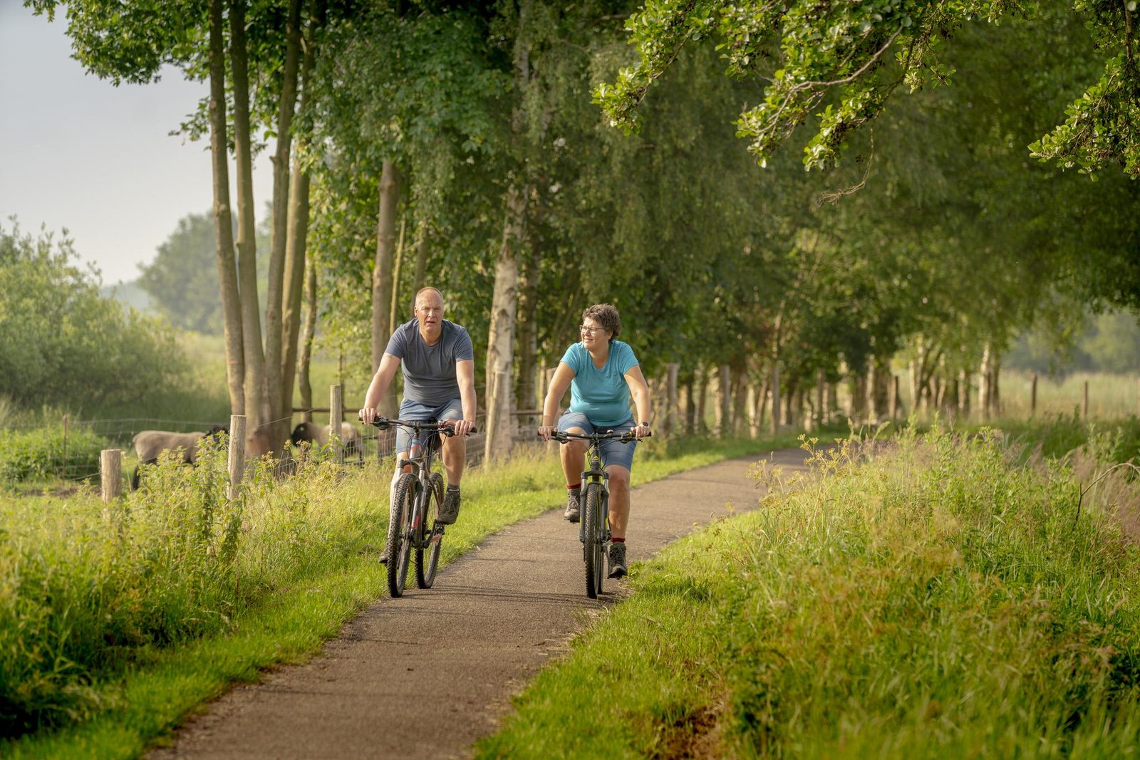 Esdoorn | 6 personen