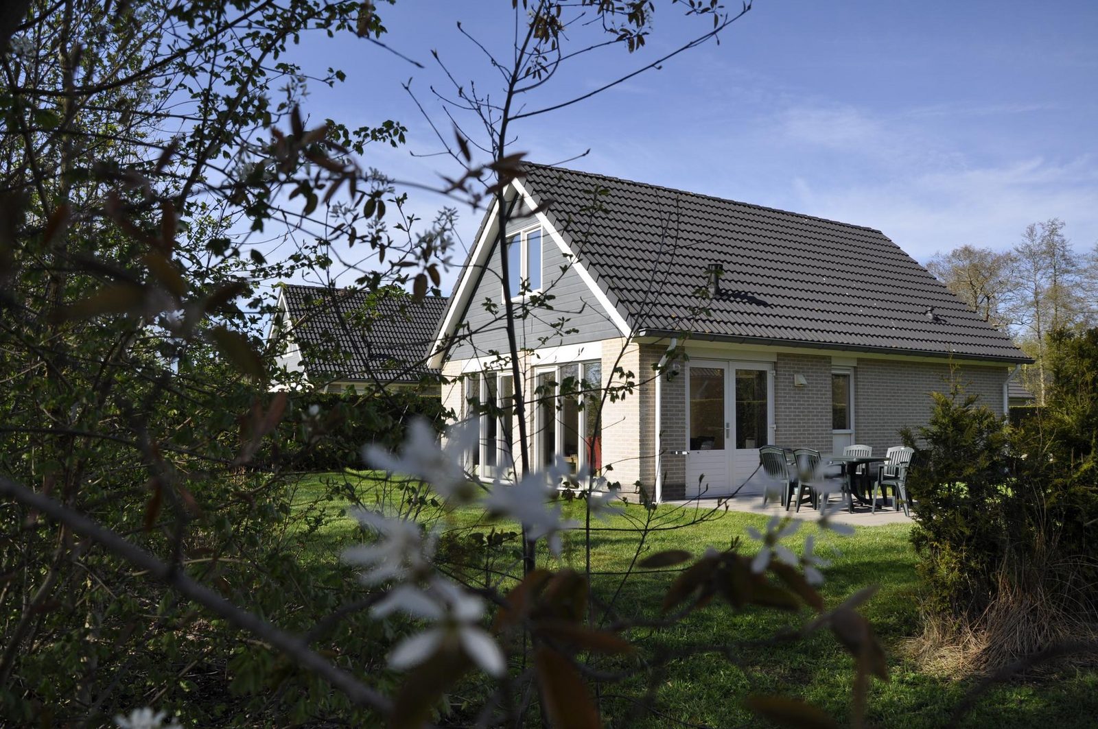Esdoorn | 8 personen