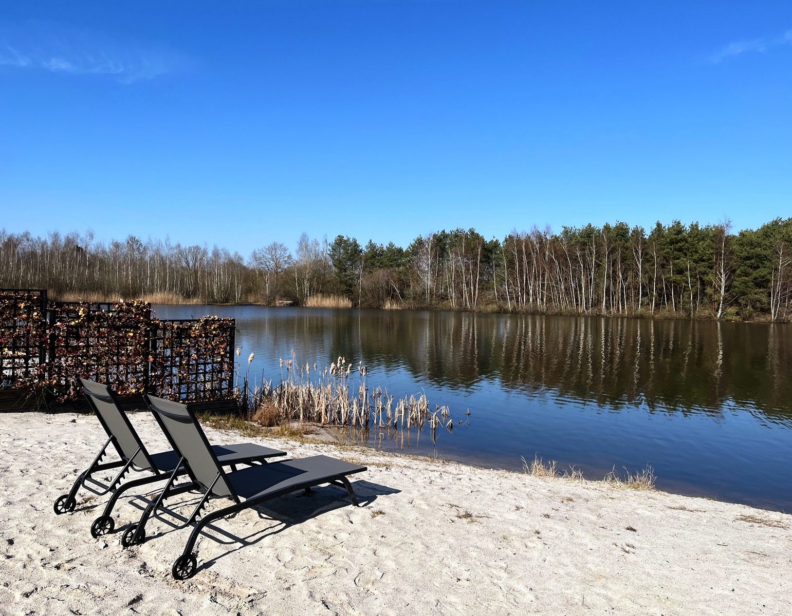 Vakantiehuis Torenvalk 