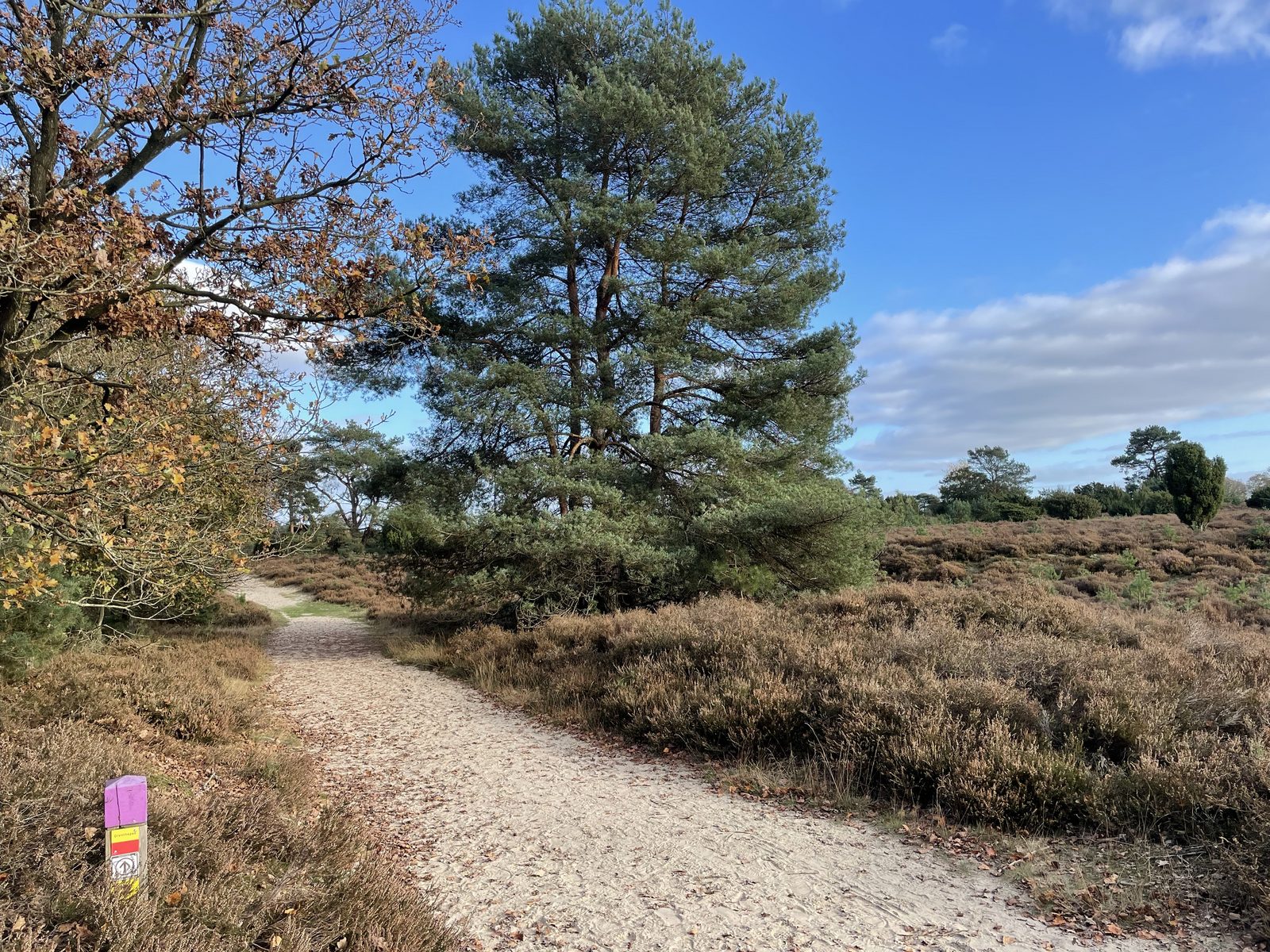 Rood Houten Huisje 213