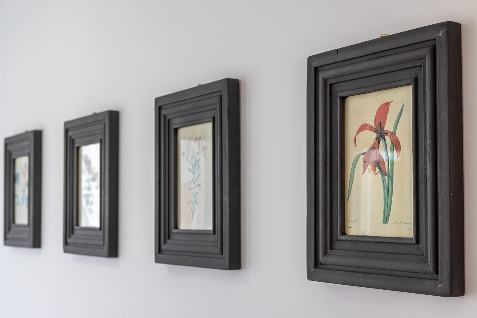 Belich  Apartment Flores Botanicas