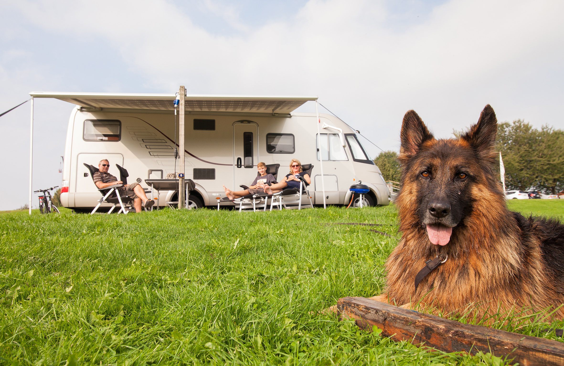 Unterkünfte Marina Strandbad - Camping Stellplatz - Stellplatz Komfort Camper - 1
