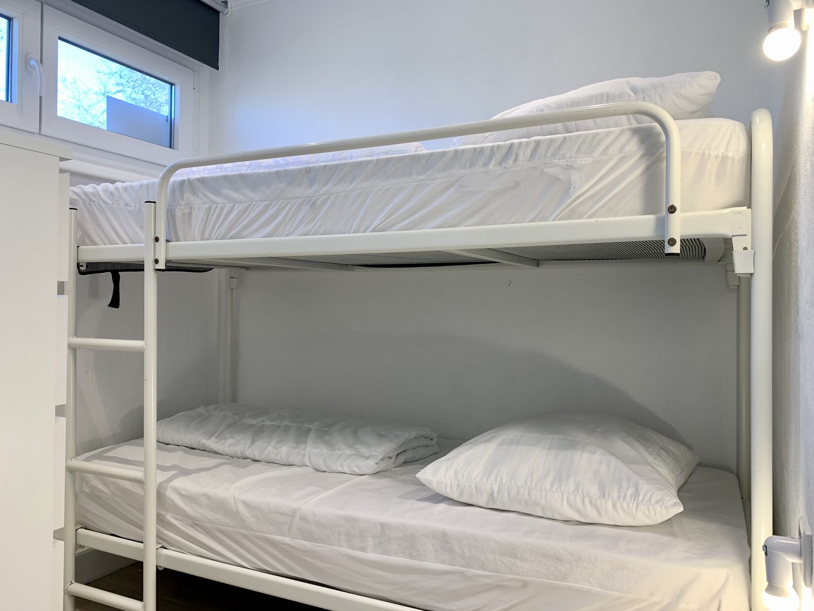 De Schelp 24