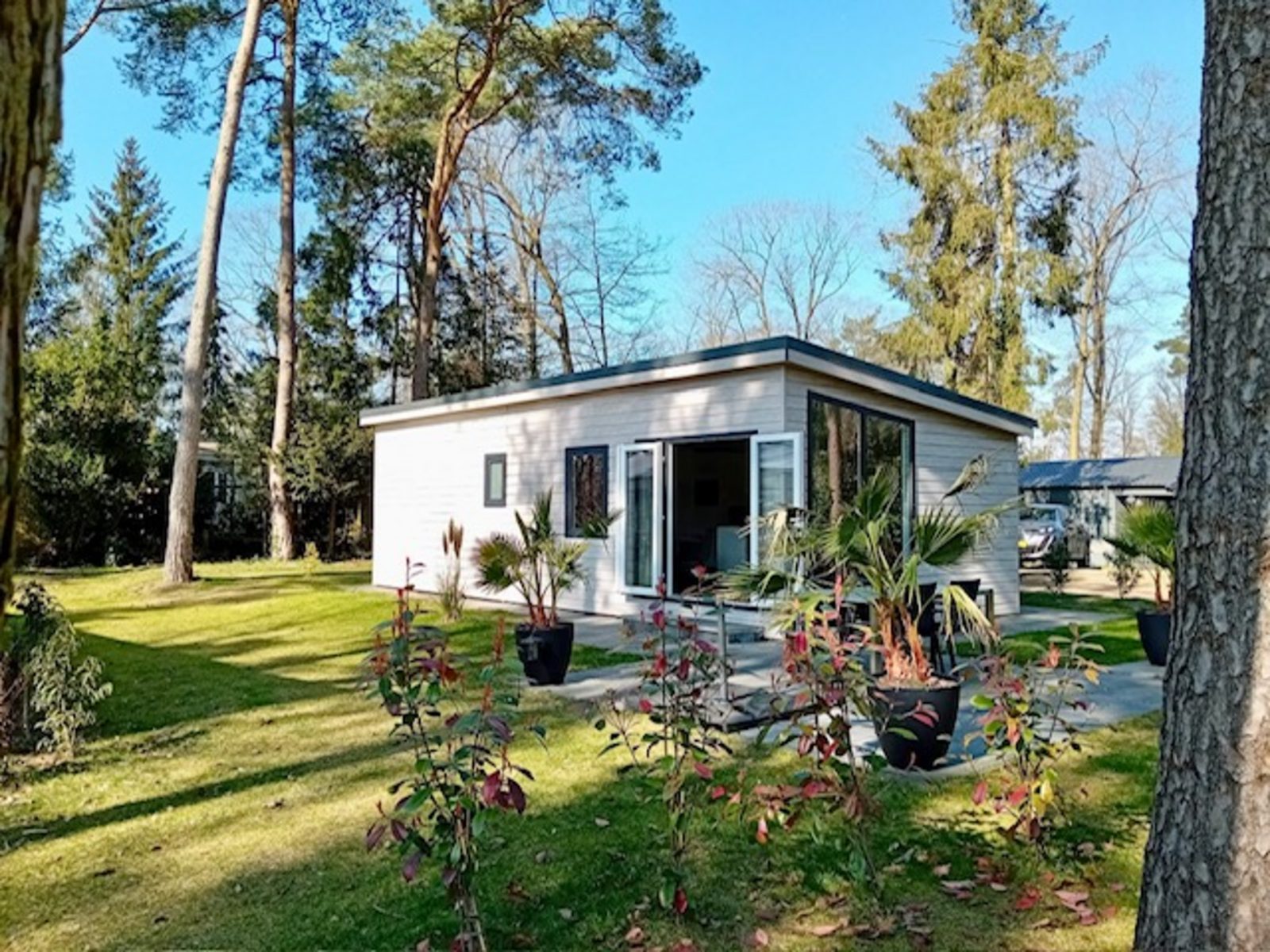 Waldlodge De Mooie Plek - 3 Personen