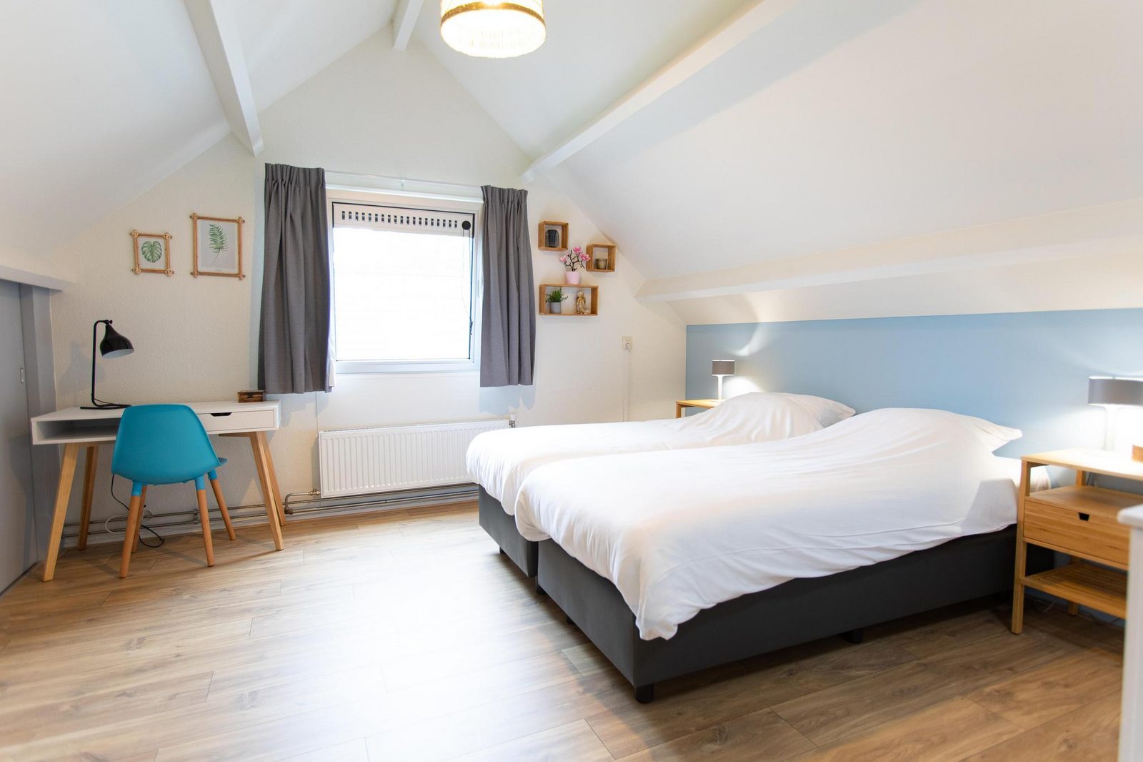 Kastanje met sauna | 6 personen