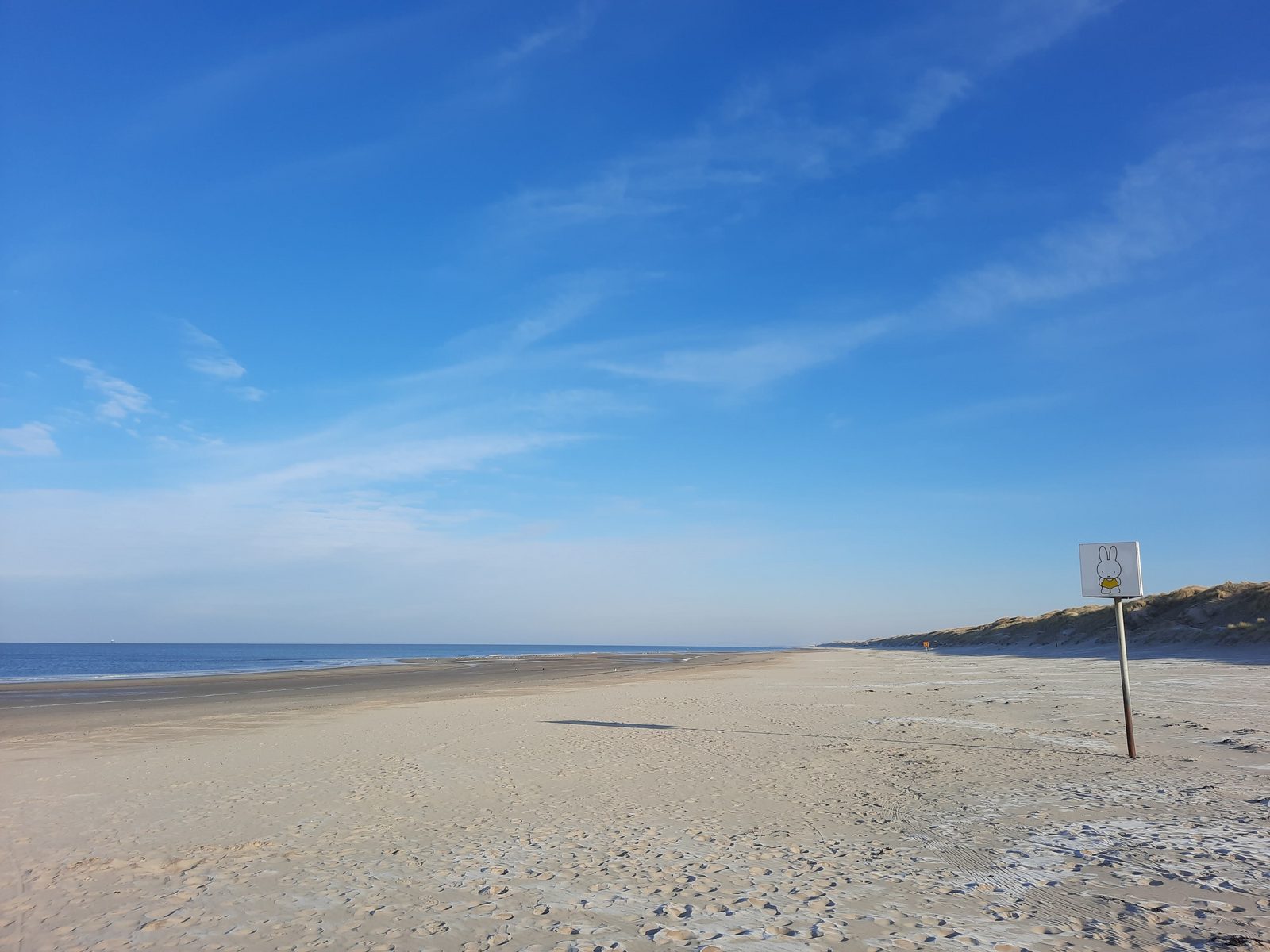 De Schelp 26
