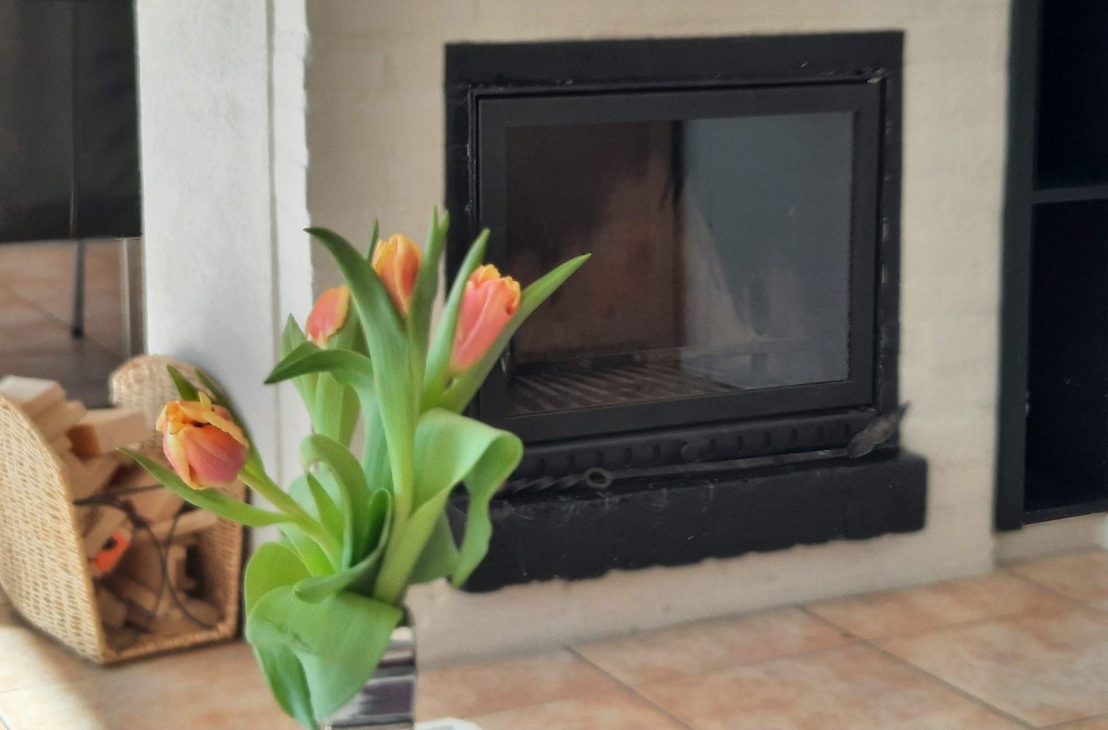 De Schelp 26