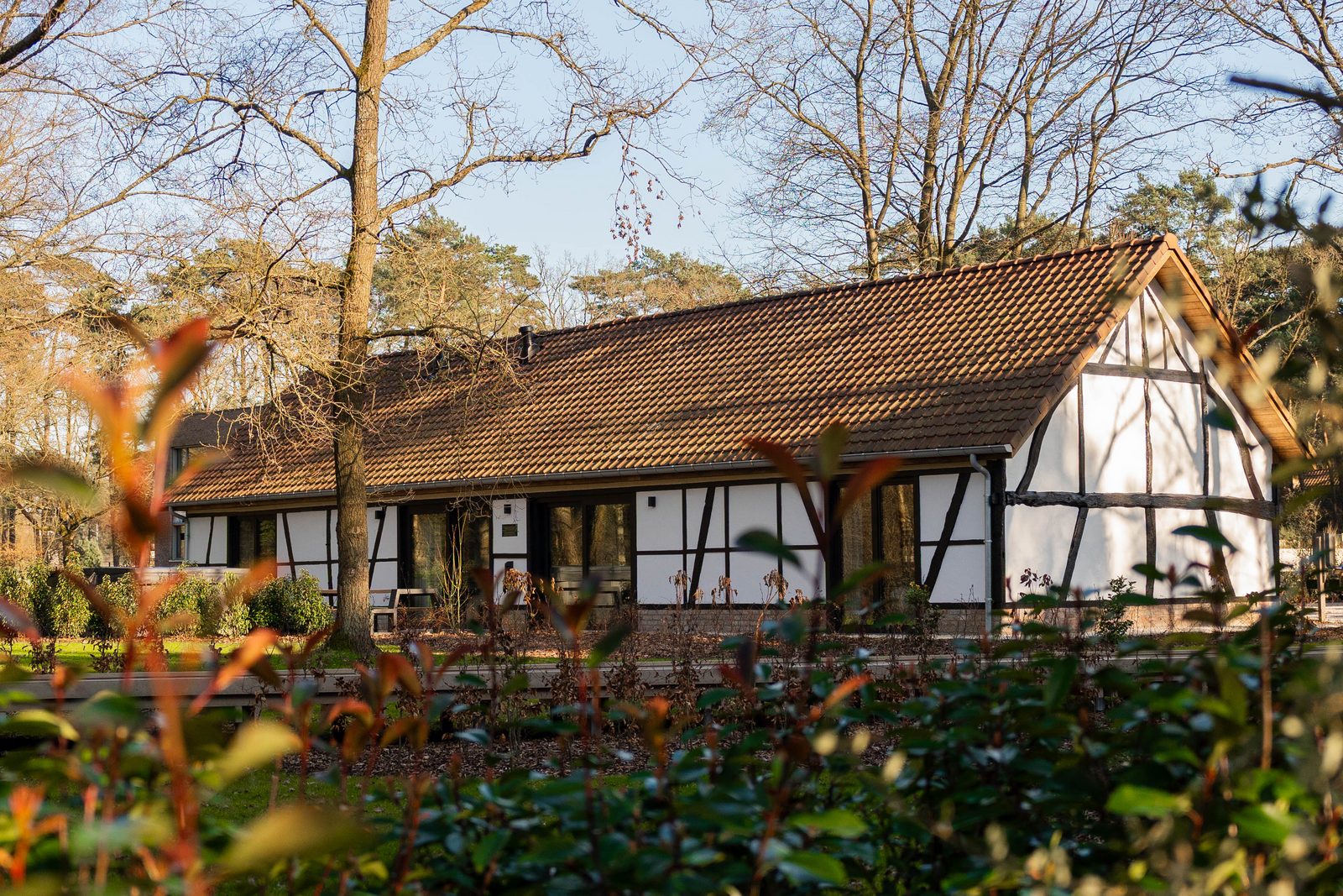 Villa Lodge mit Whirlpool | 8 Personen
