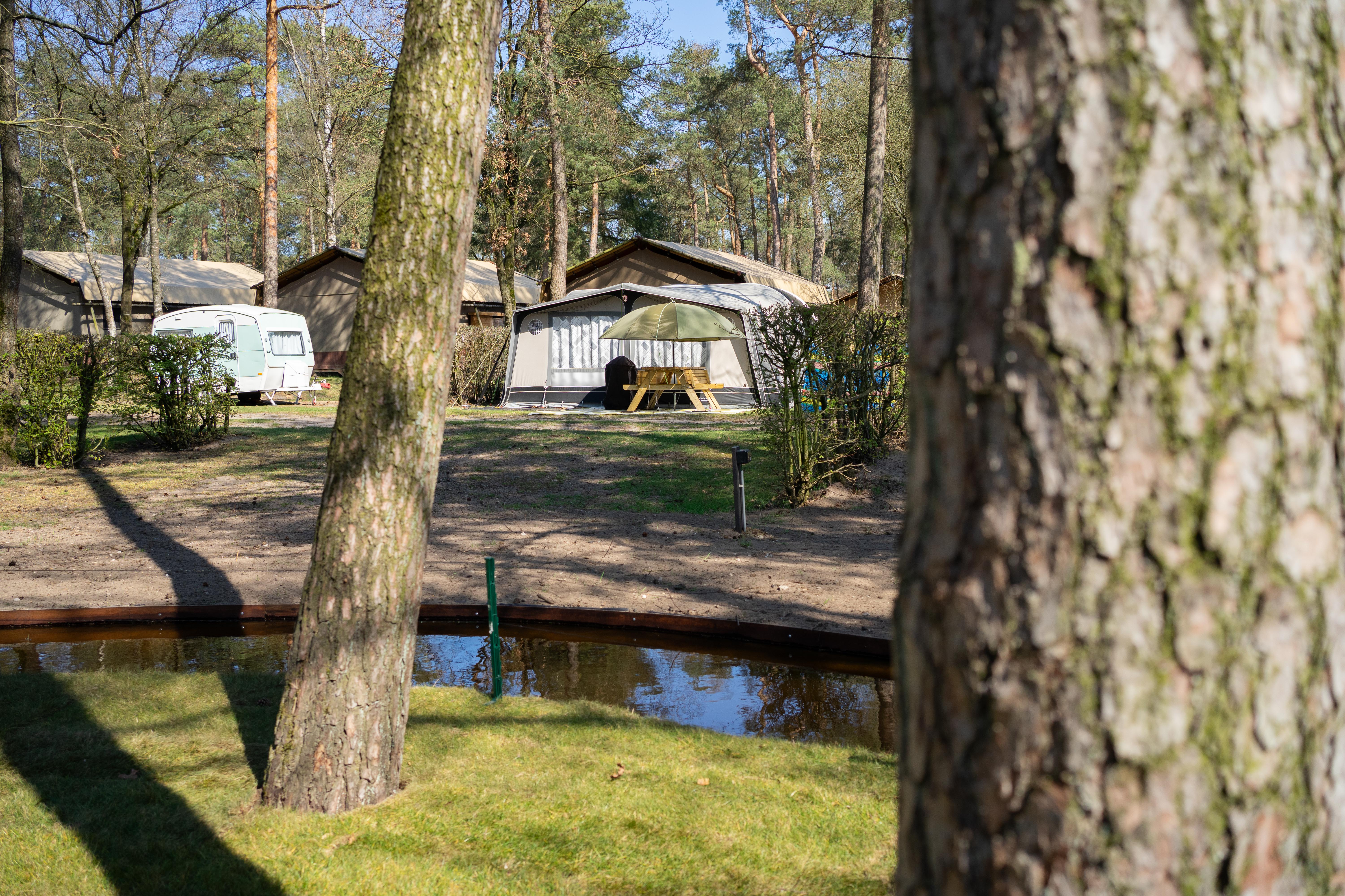 Accommodatie De Zanding - Kampeerplaats - Kampeerplaats Comfort - 7
