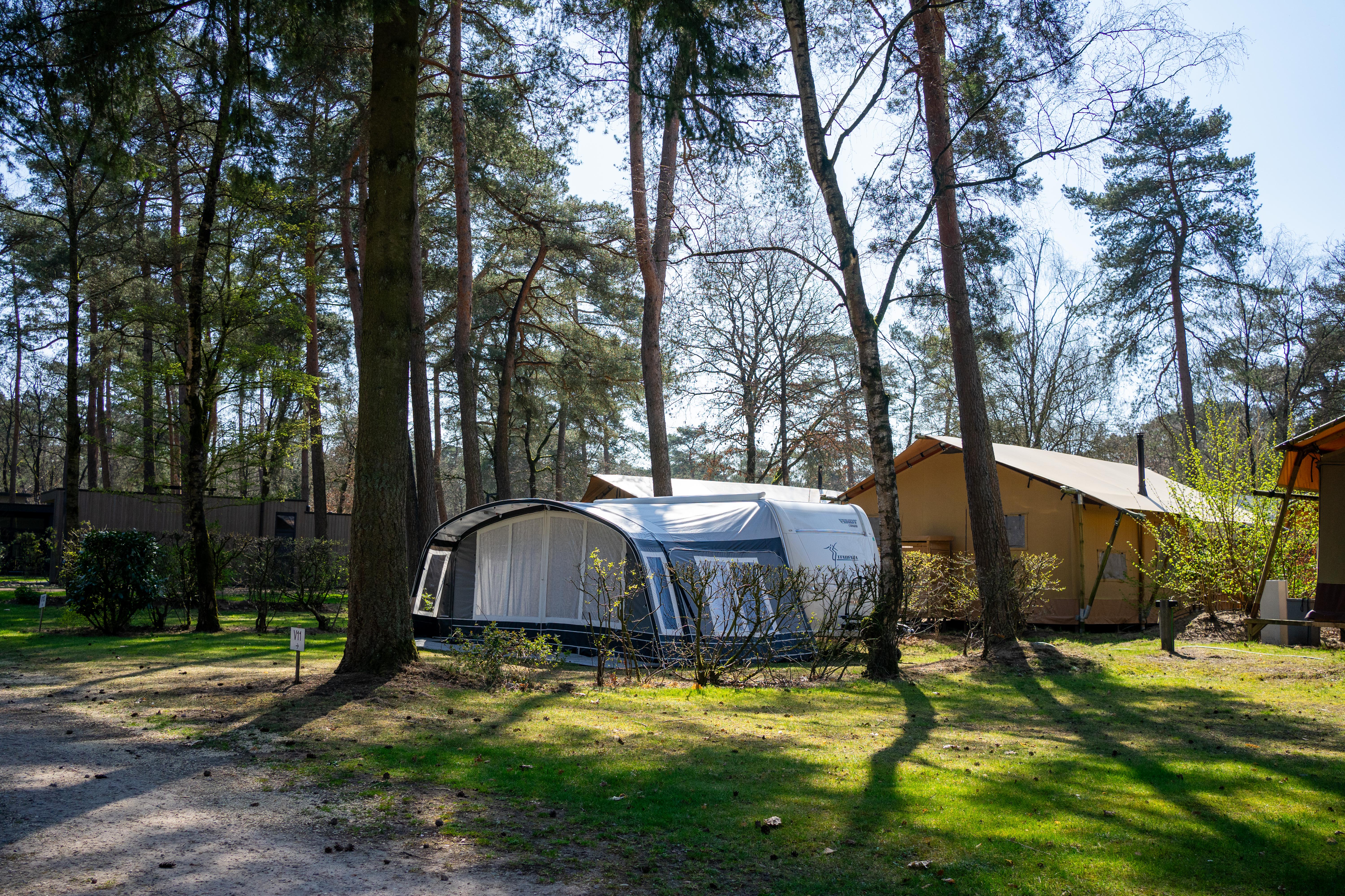 Accommodatie De Zanding - Kampeerplaats - Kampeerplaats Comfort - 1