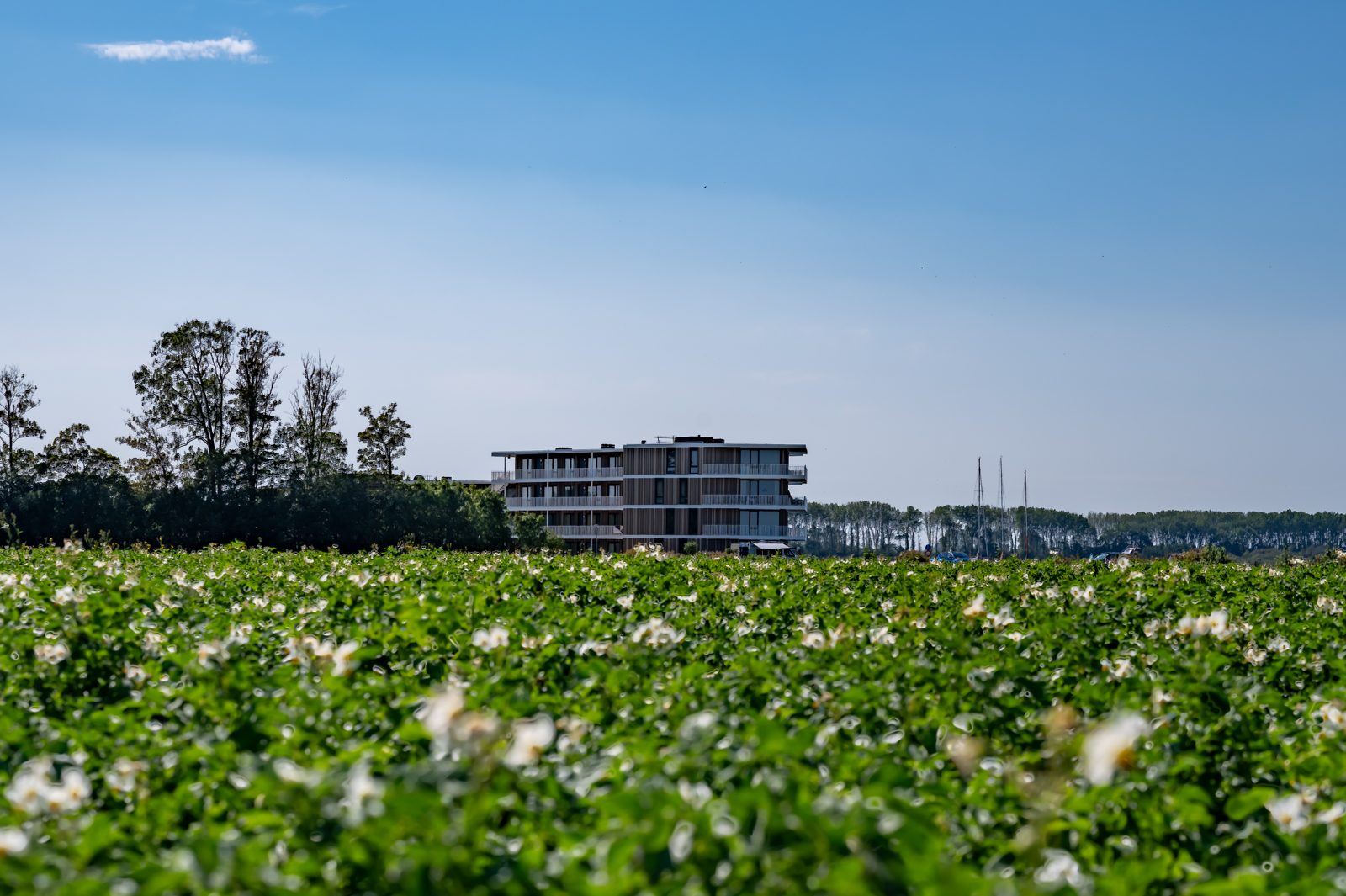 Lamsoor 91 | Veerse Wende