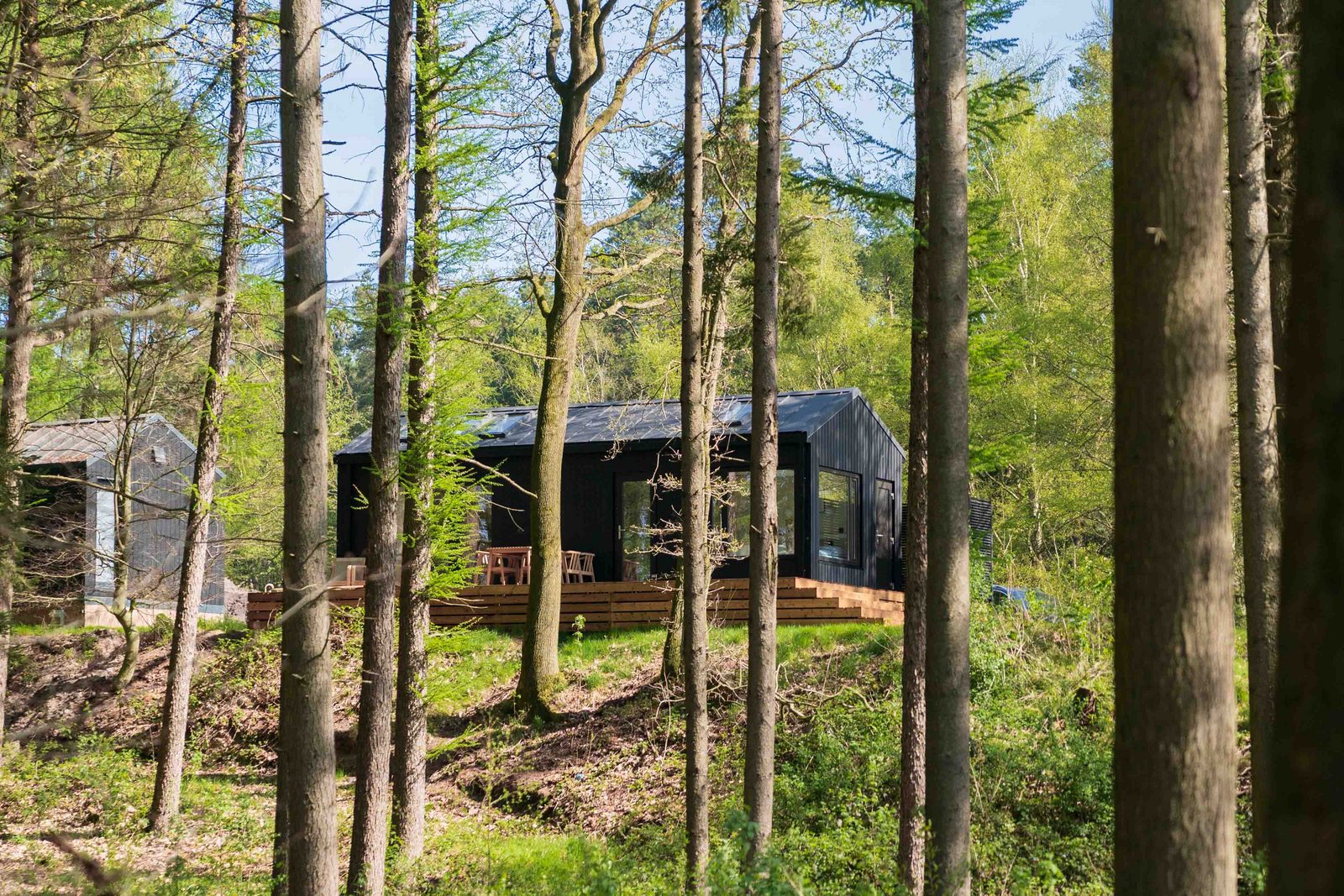 Koya Tiny Cabin | 4 Pers. 