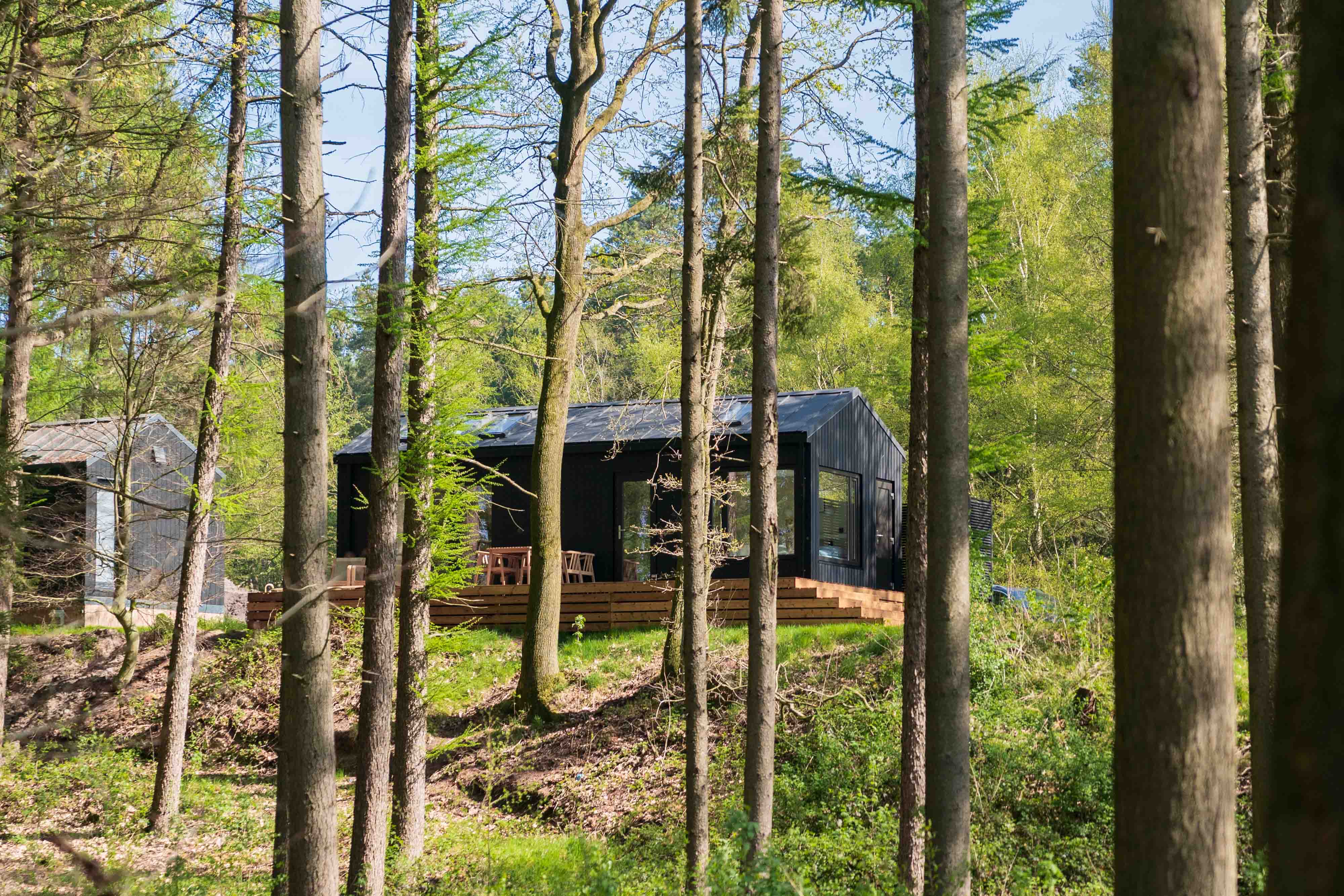 Ferienhaus in Wilsum (Deutschland) und 2 Hunde erlaubt