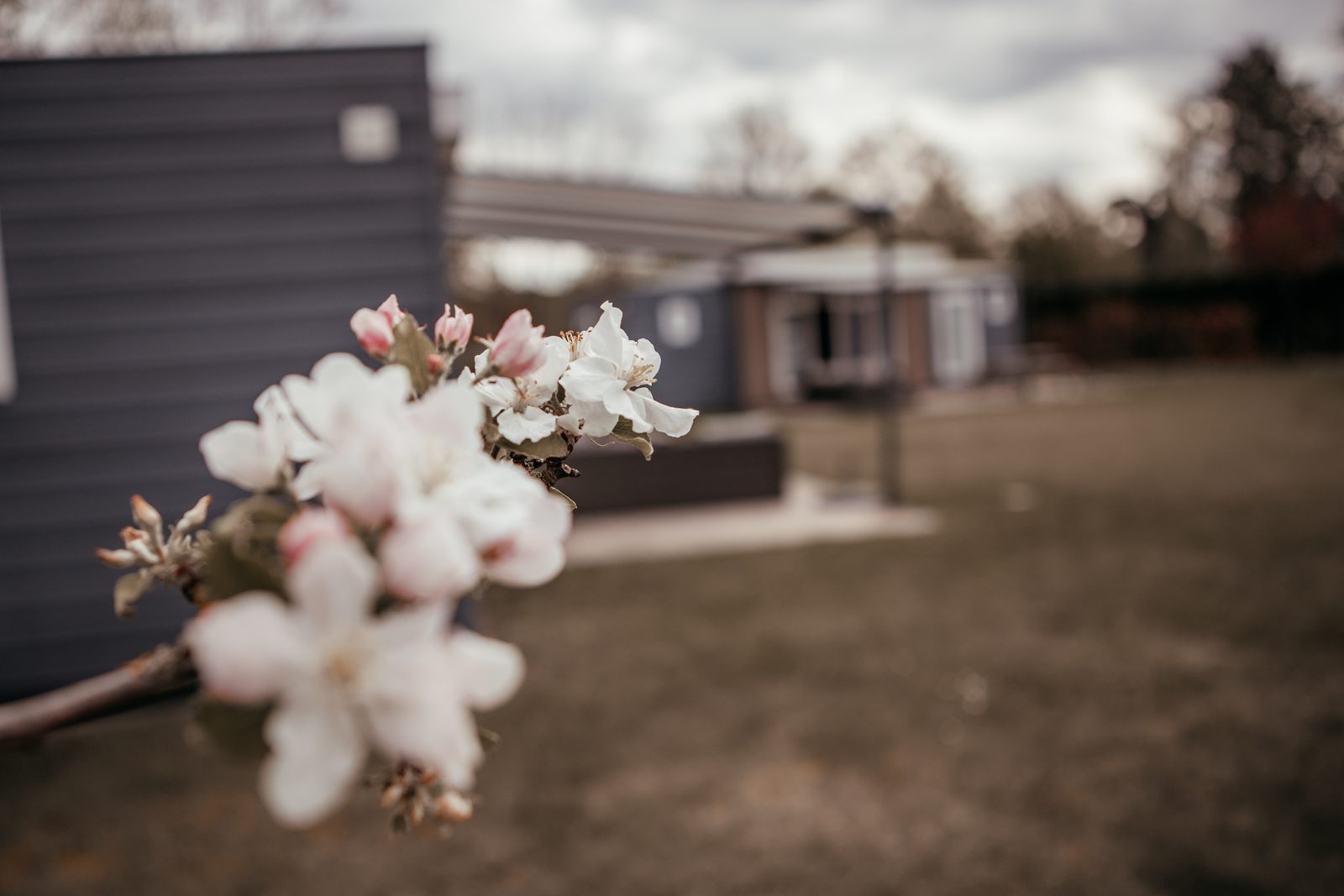 Luxus-Chalet