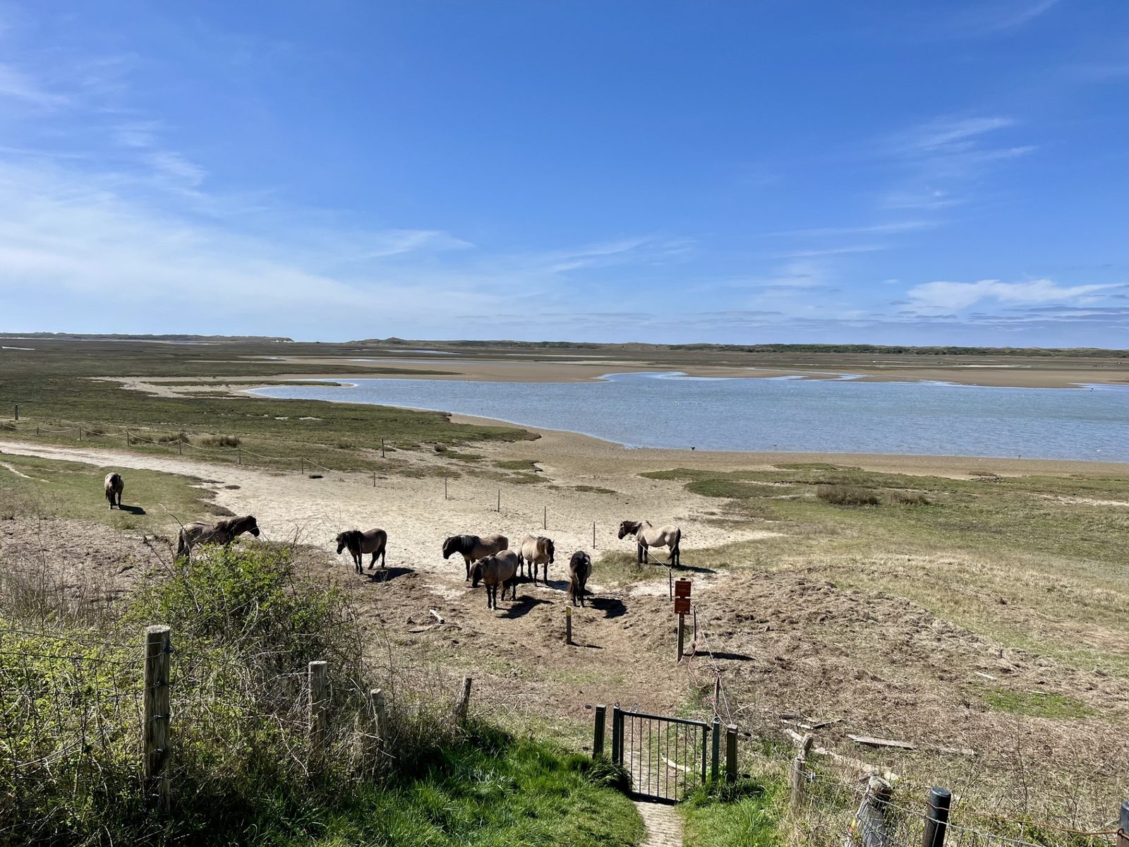 Beach Studio Texel