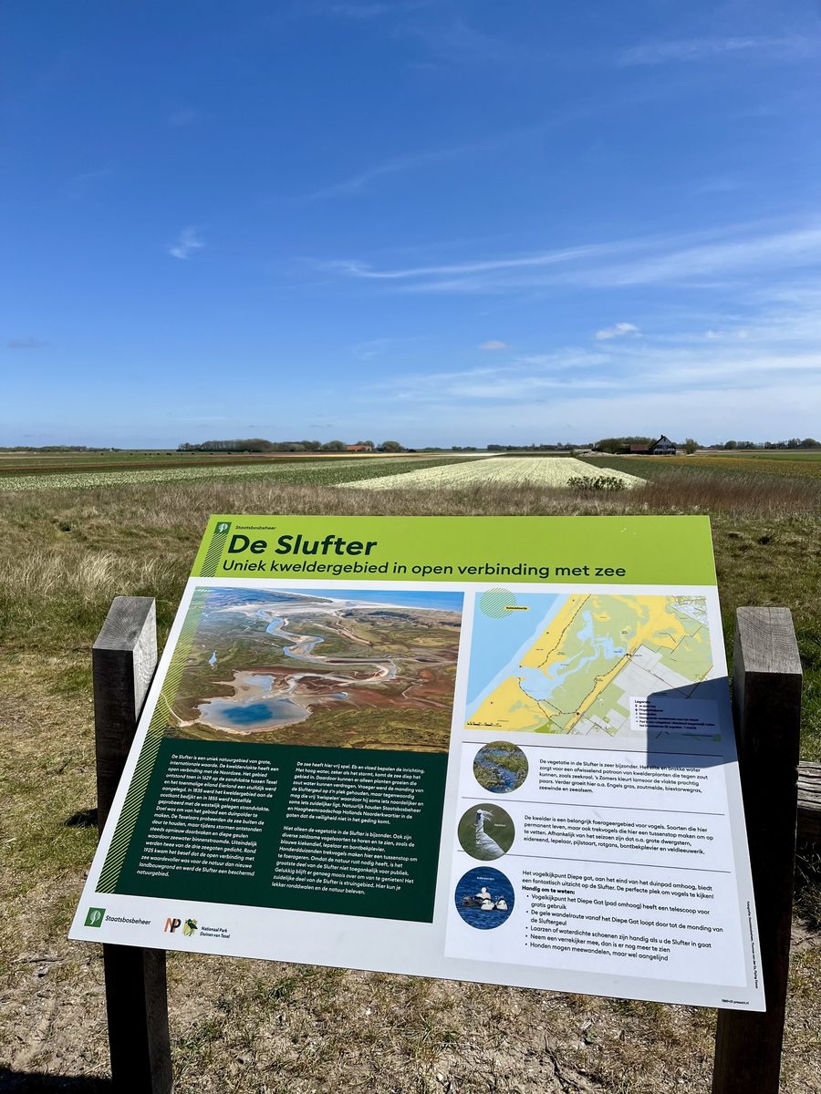 Beach Studio Texel