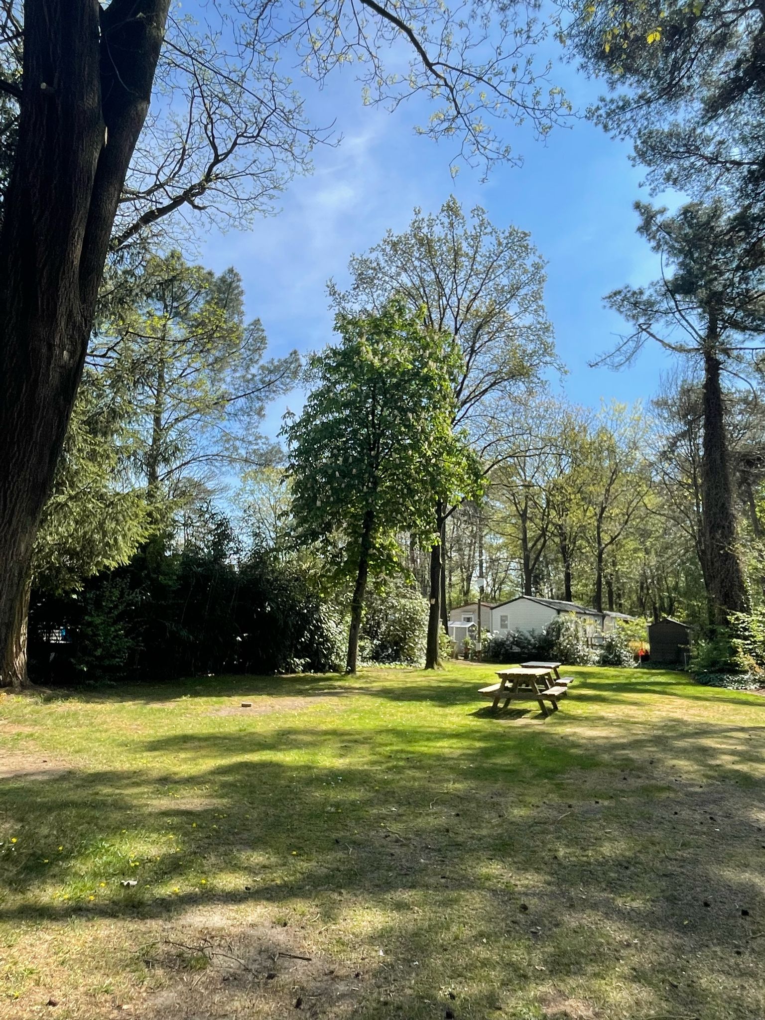 Tent Meadow | Without electricity 