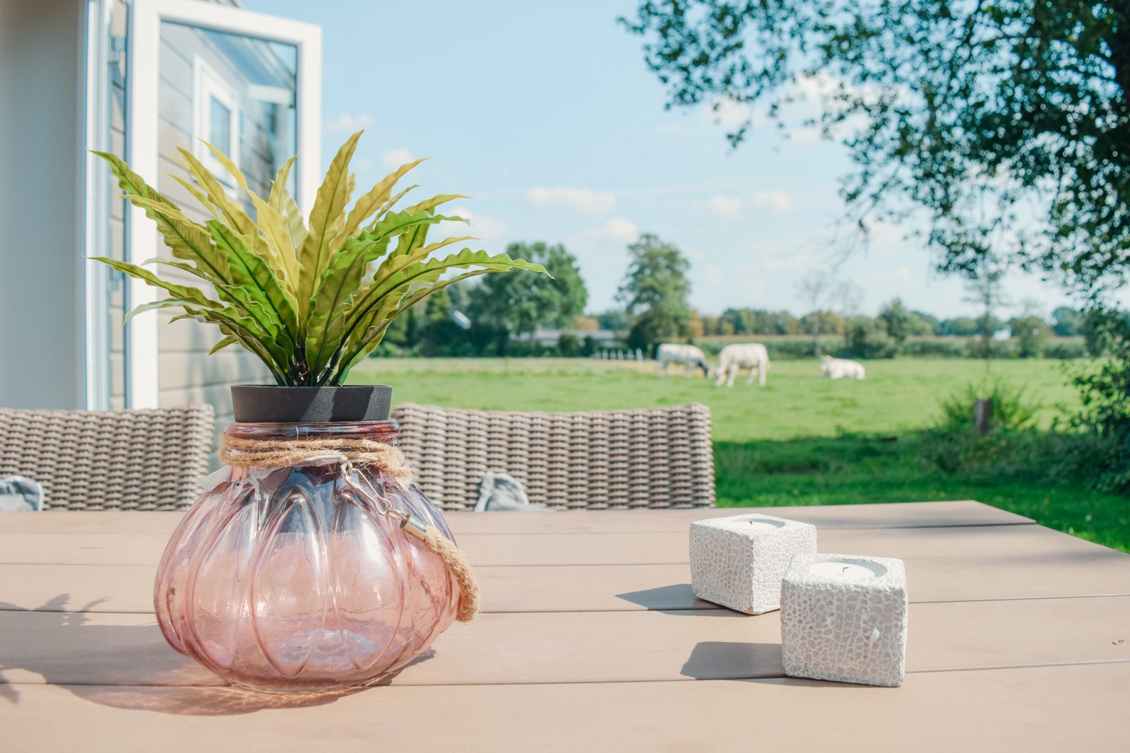 Veluwe lodge for four people