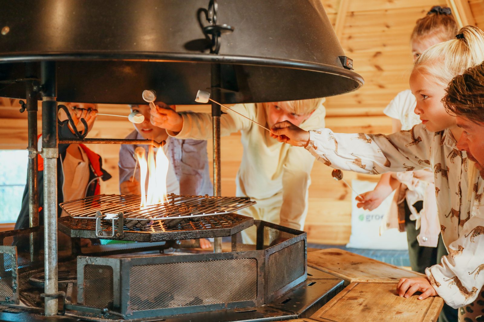 Veluwelodge XL met grillhuis | 6 + 6 personen