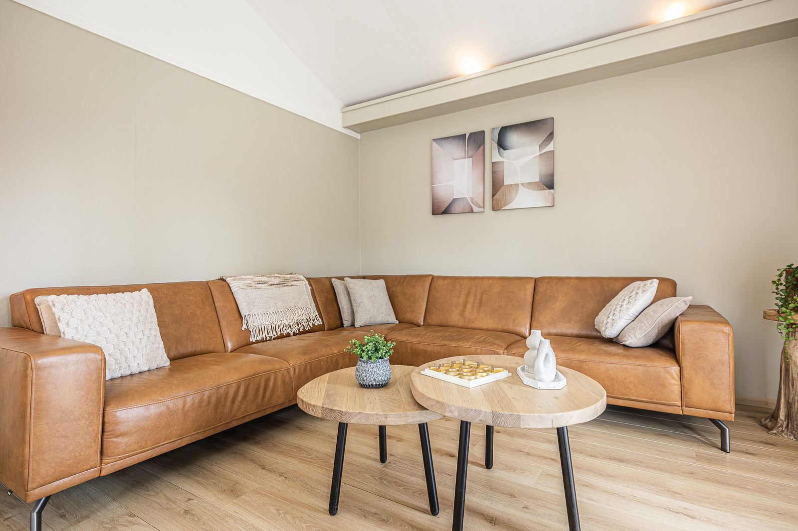 Goudheide: Scandinavische Stijl (4p)