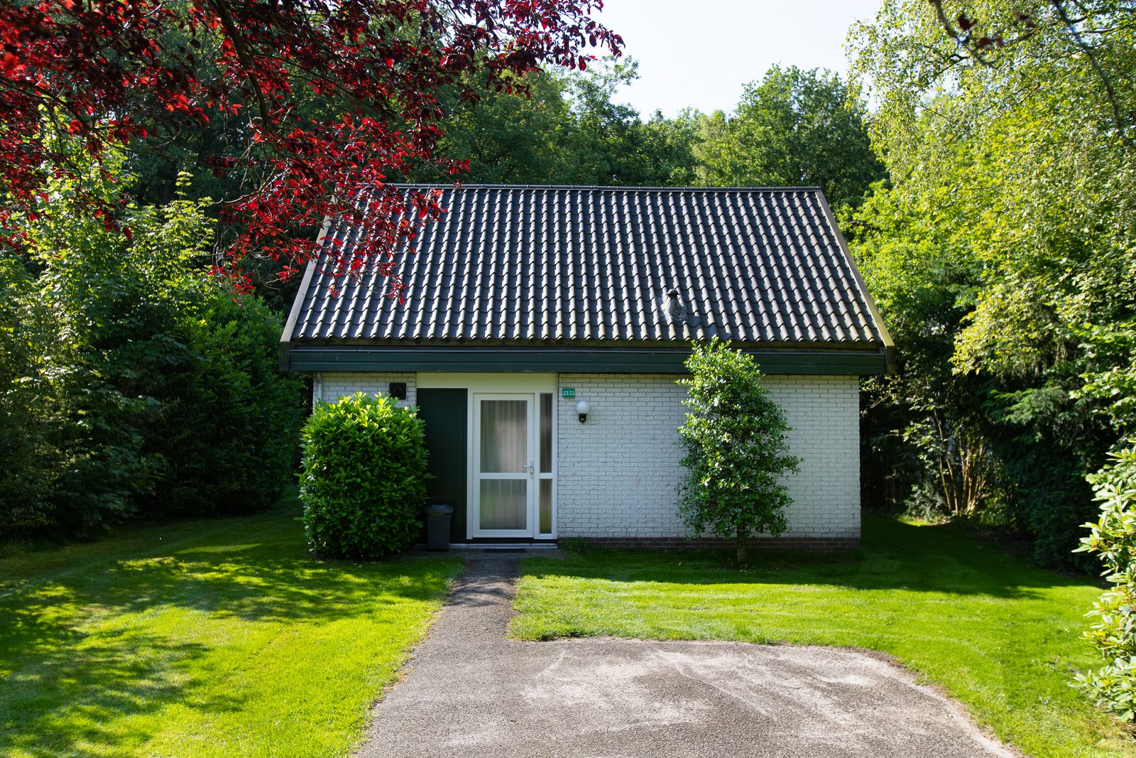 Populier Comfort | 6 personen