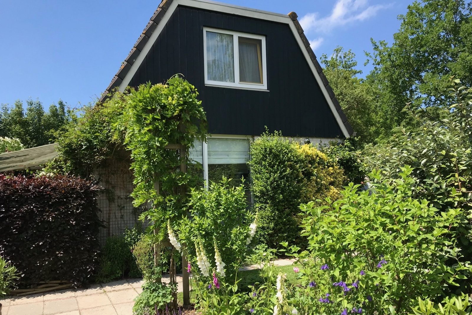 Duin Bungalow 123 5-persoons 2-slaapkamers