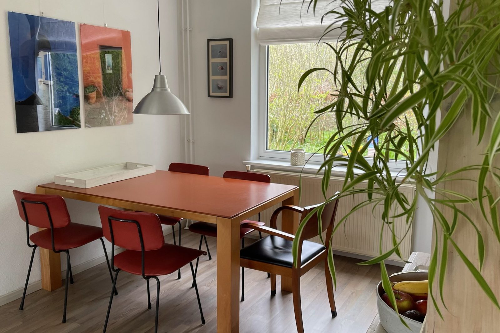 Duin Bungalow 123 5-persoons 2-slaapkamers