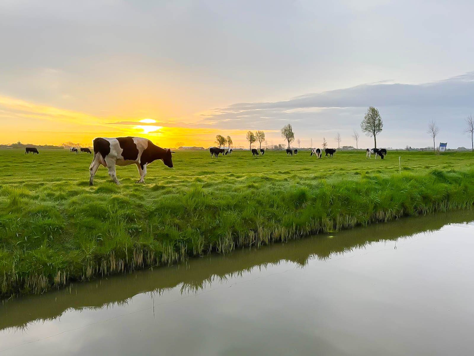 Zon in de duinen - 33
