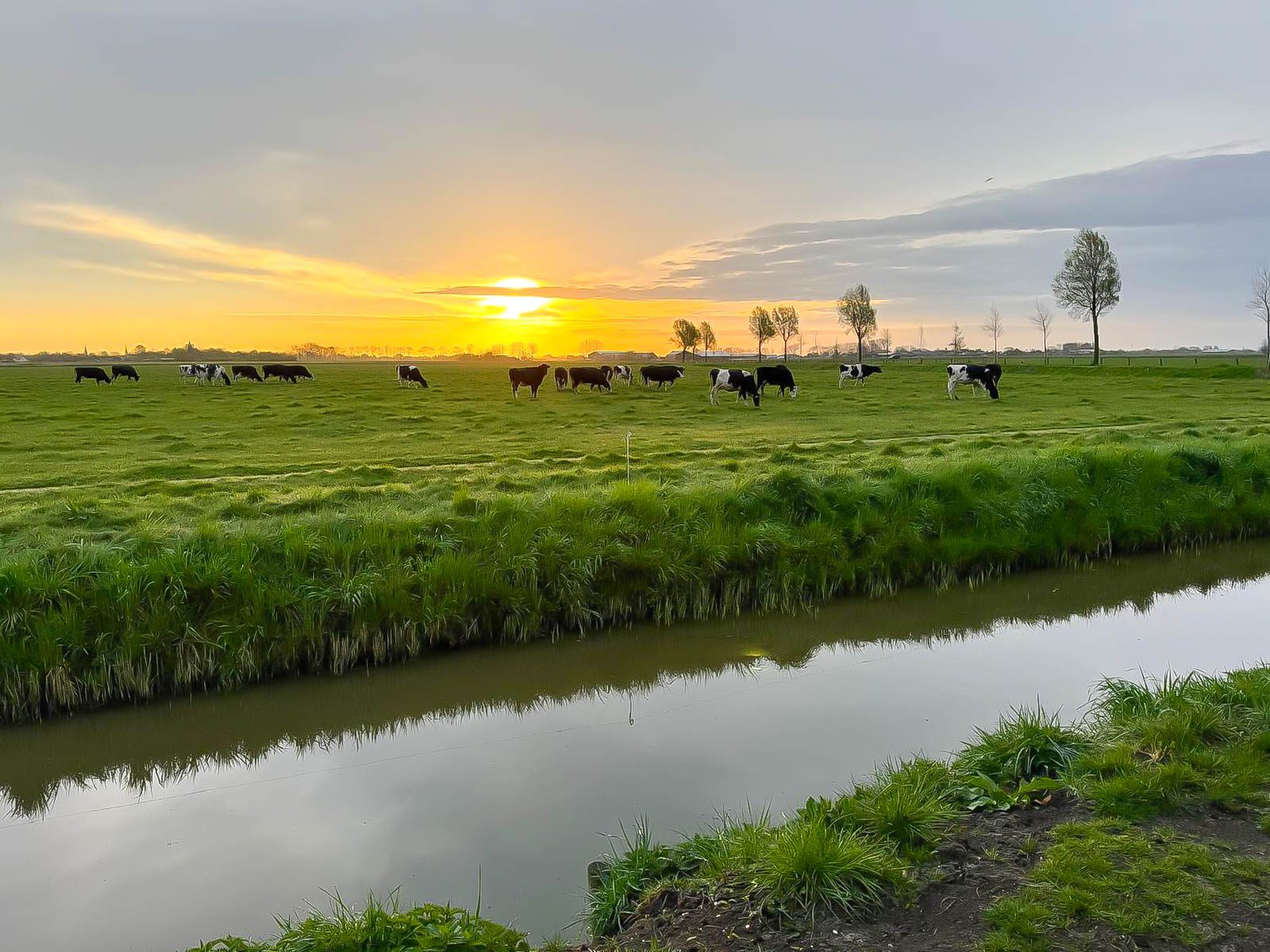 Zon in de duinen - 33