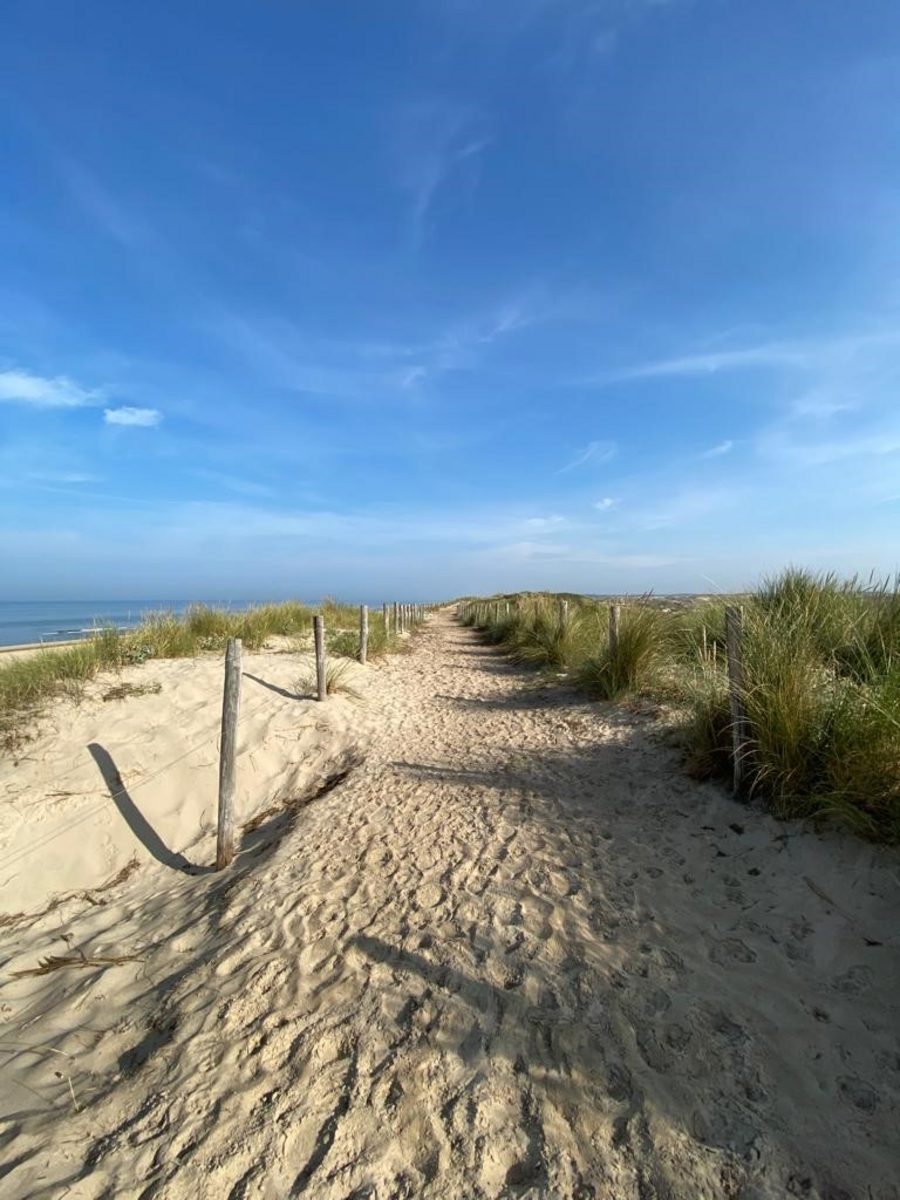 Zon in de duinen - 33