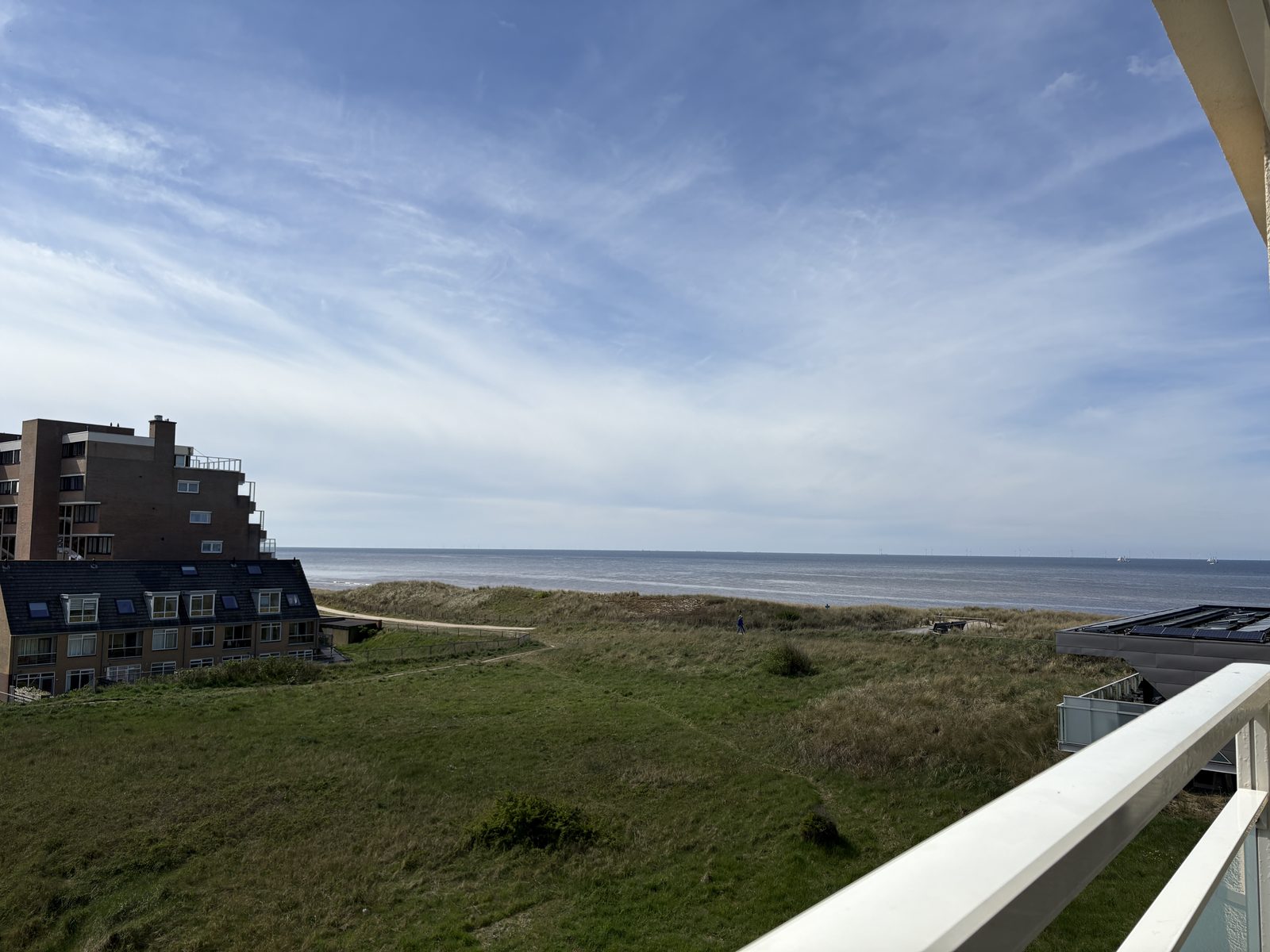 Blauwe Wimpel
