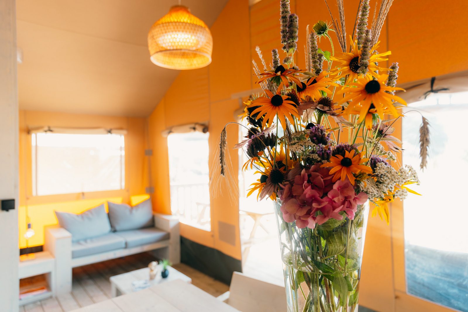 Safari cottage for six people