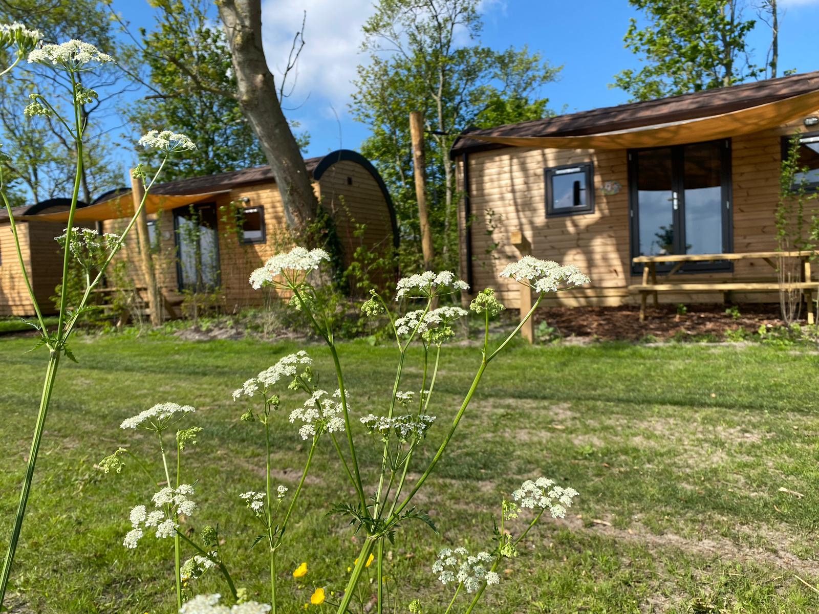 Aqua Lodge