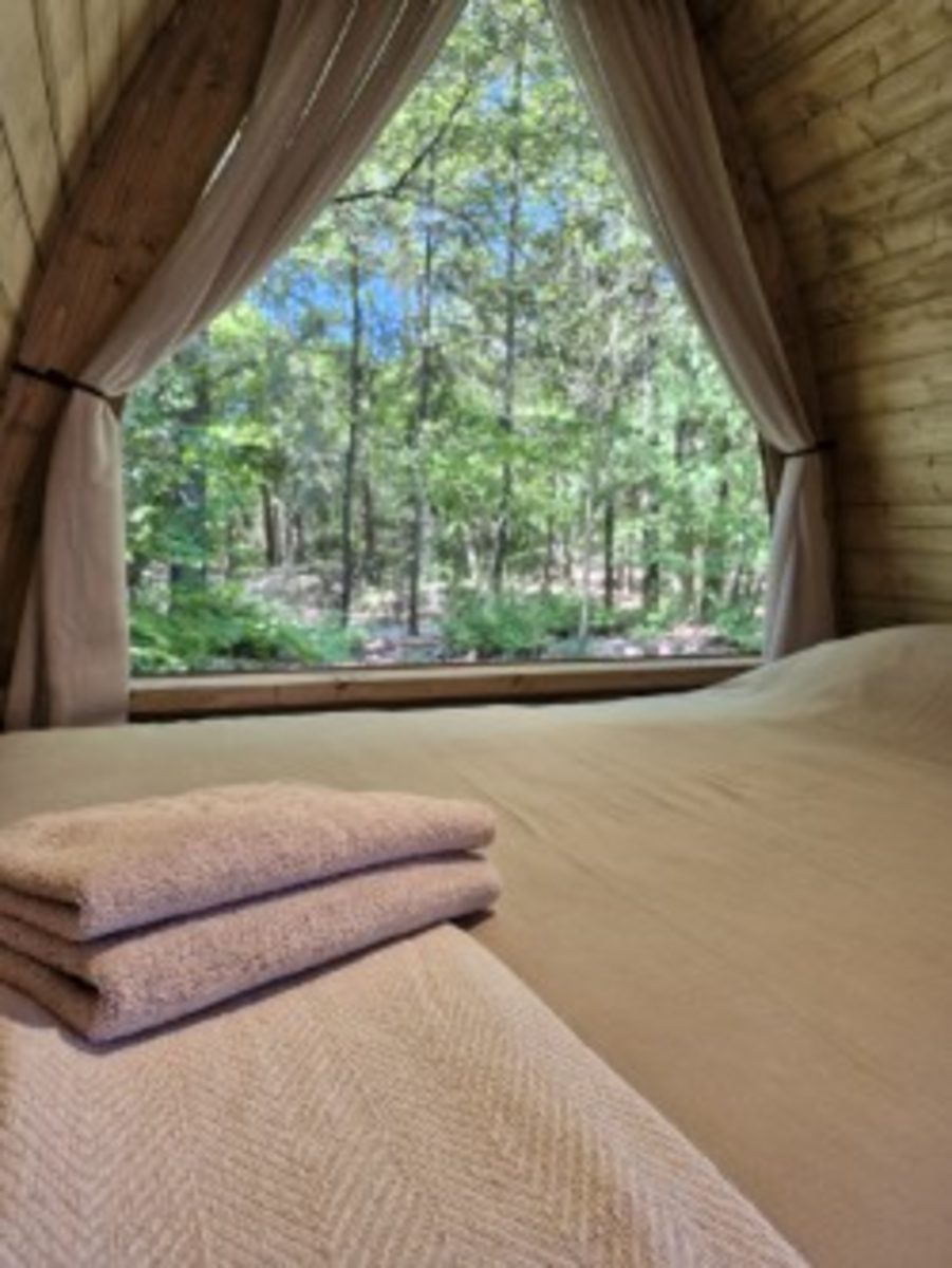 Cabin