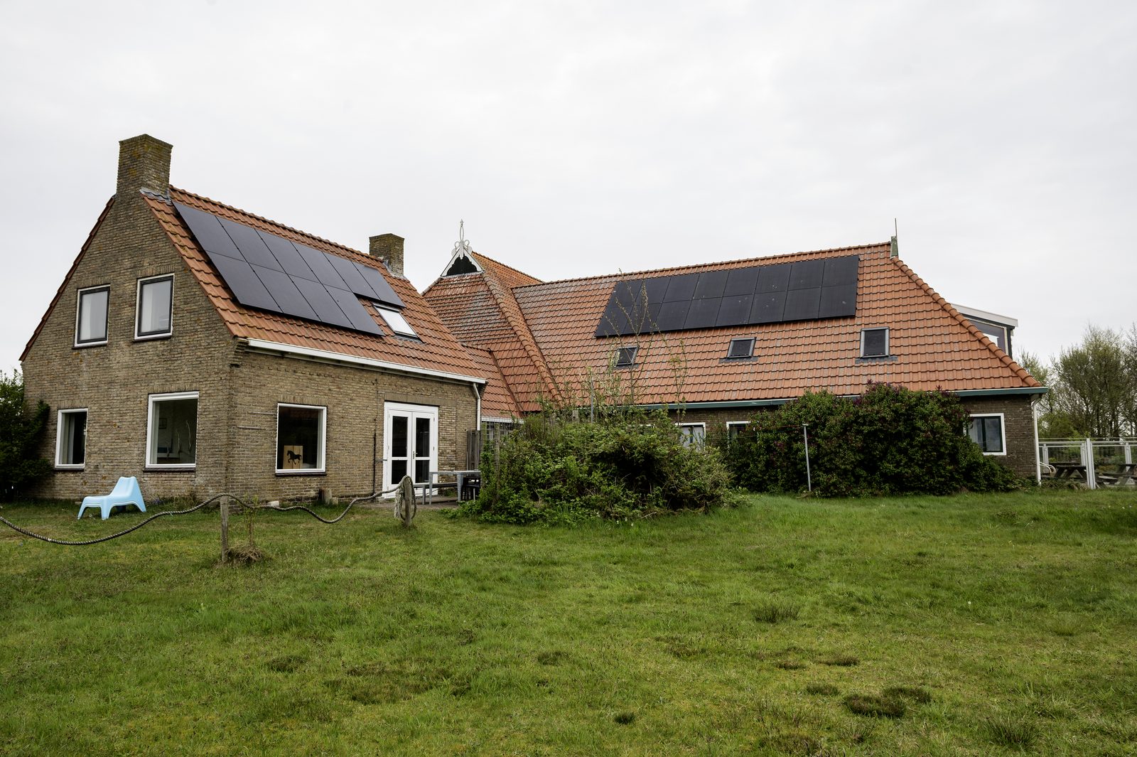 Kobbedunen