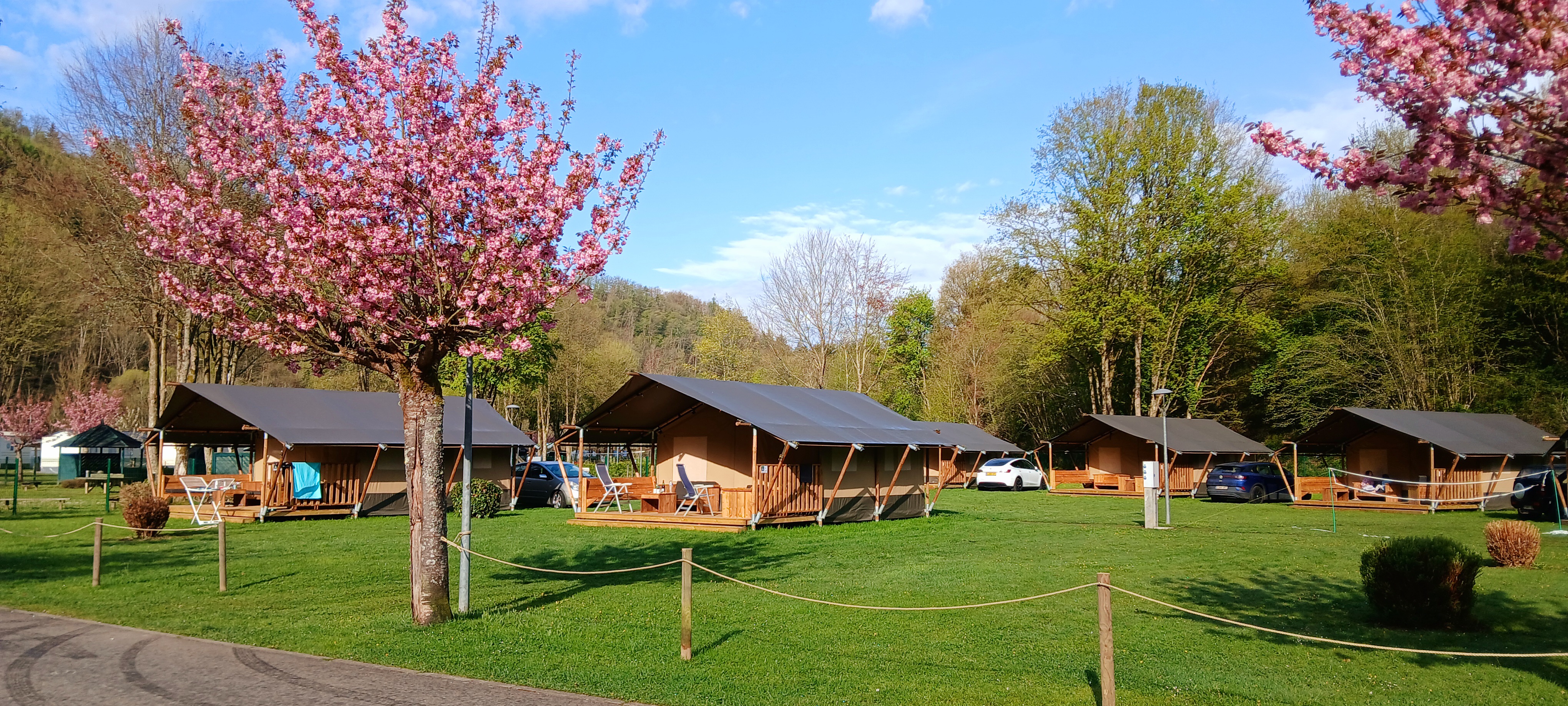 Tende da safari senza servizi igienici | 6 persone