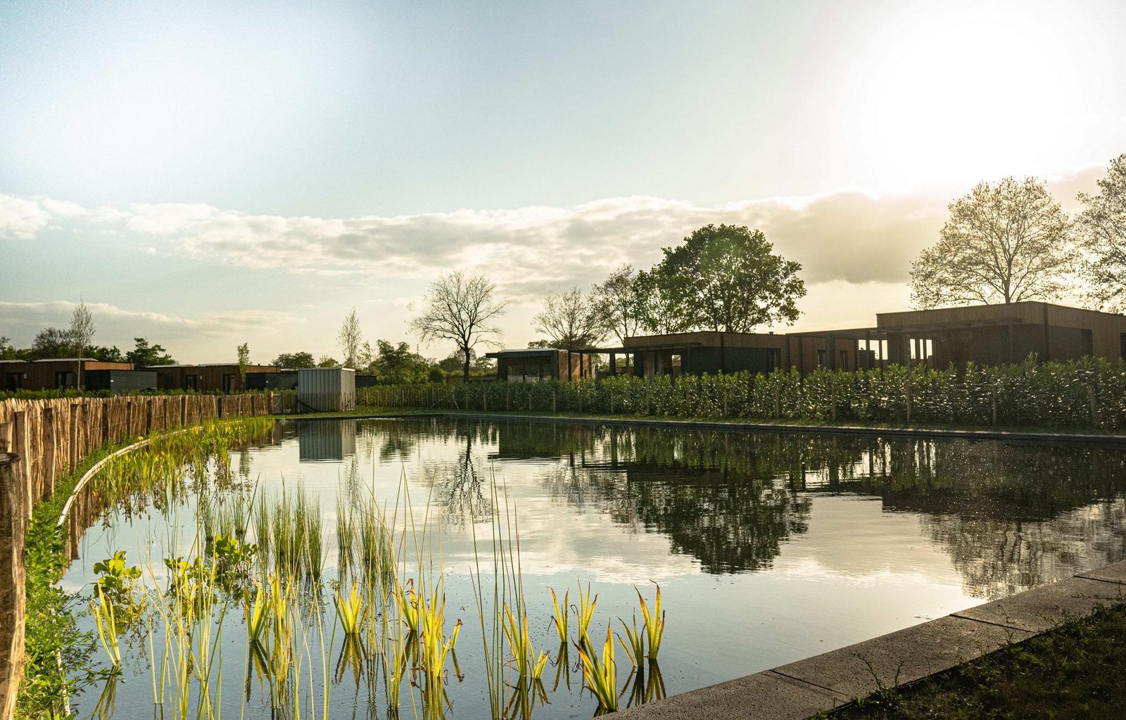 Parklodge 4 met hondenhek, sauna en hottub