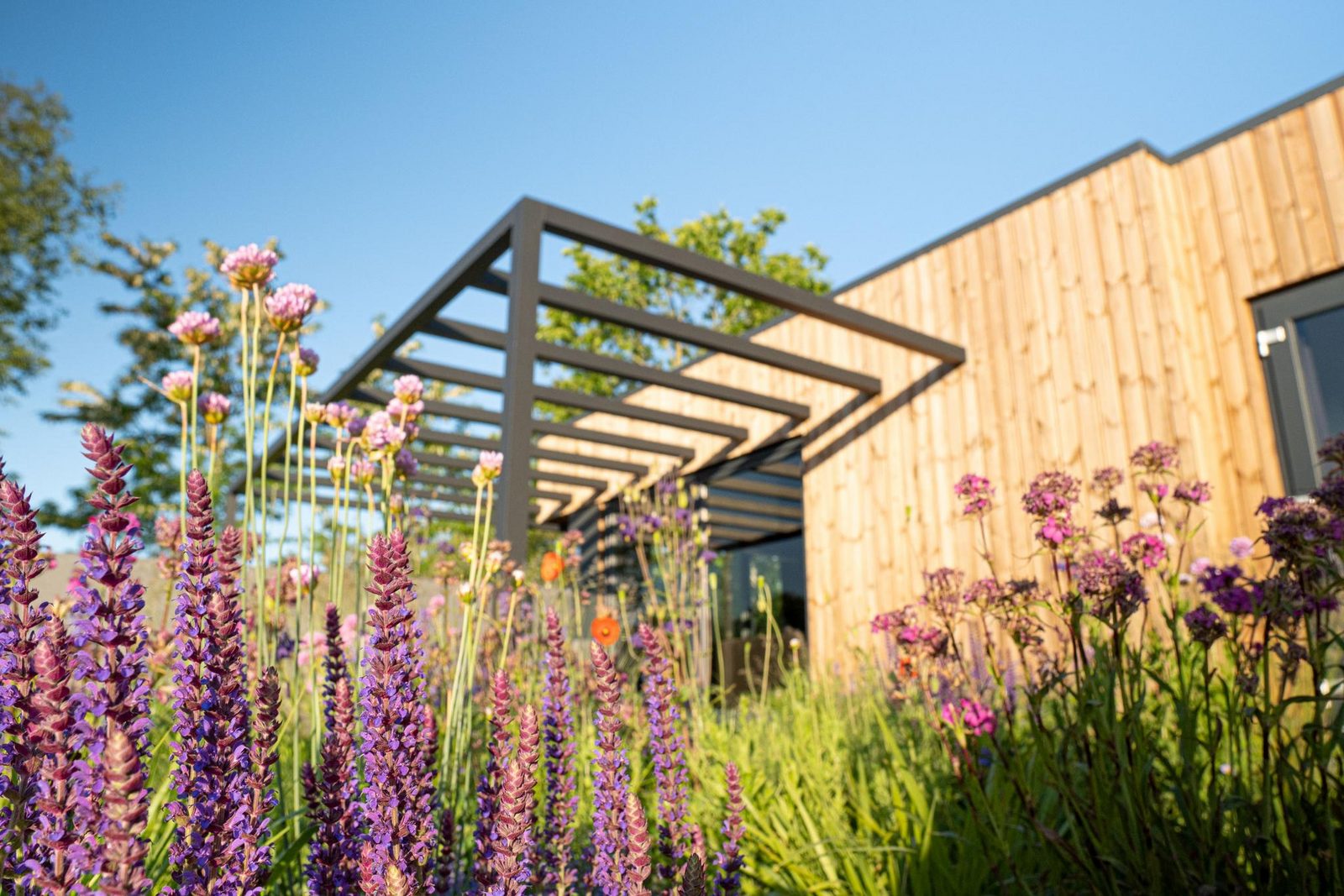 Parklodge 6 met hondenhek, sauna en hottub