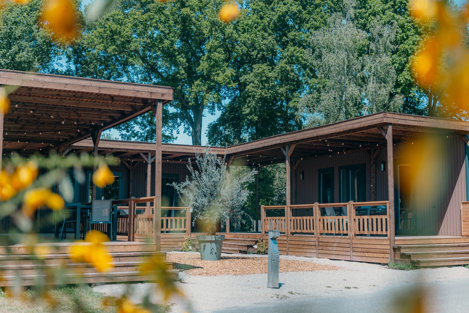 Luxe Lodges | 12 Personen